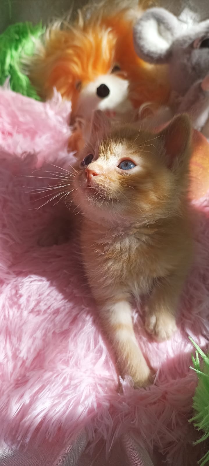 IMG-20250501-WA0055-1