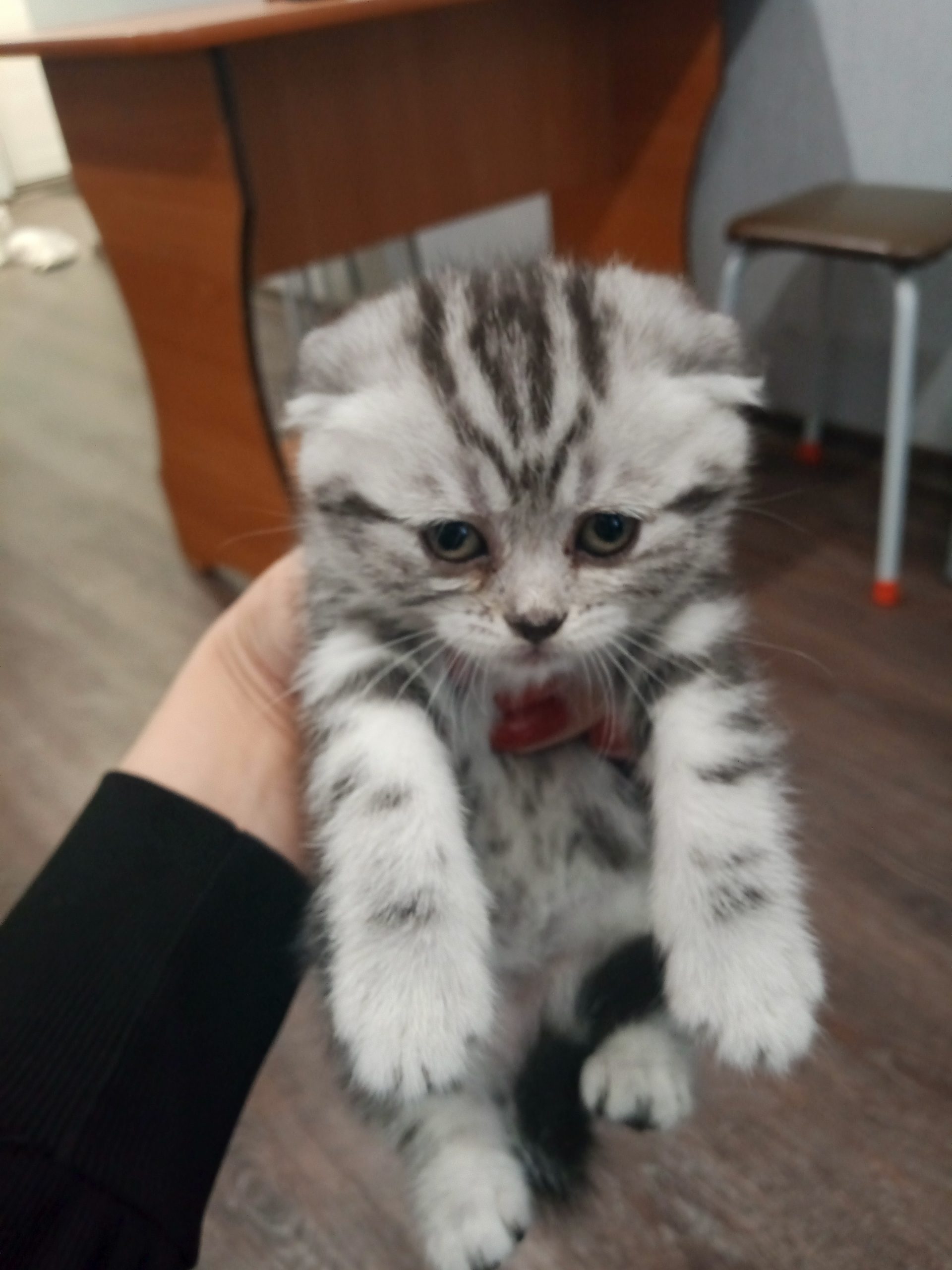 IMG_20250530_061533_913