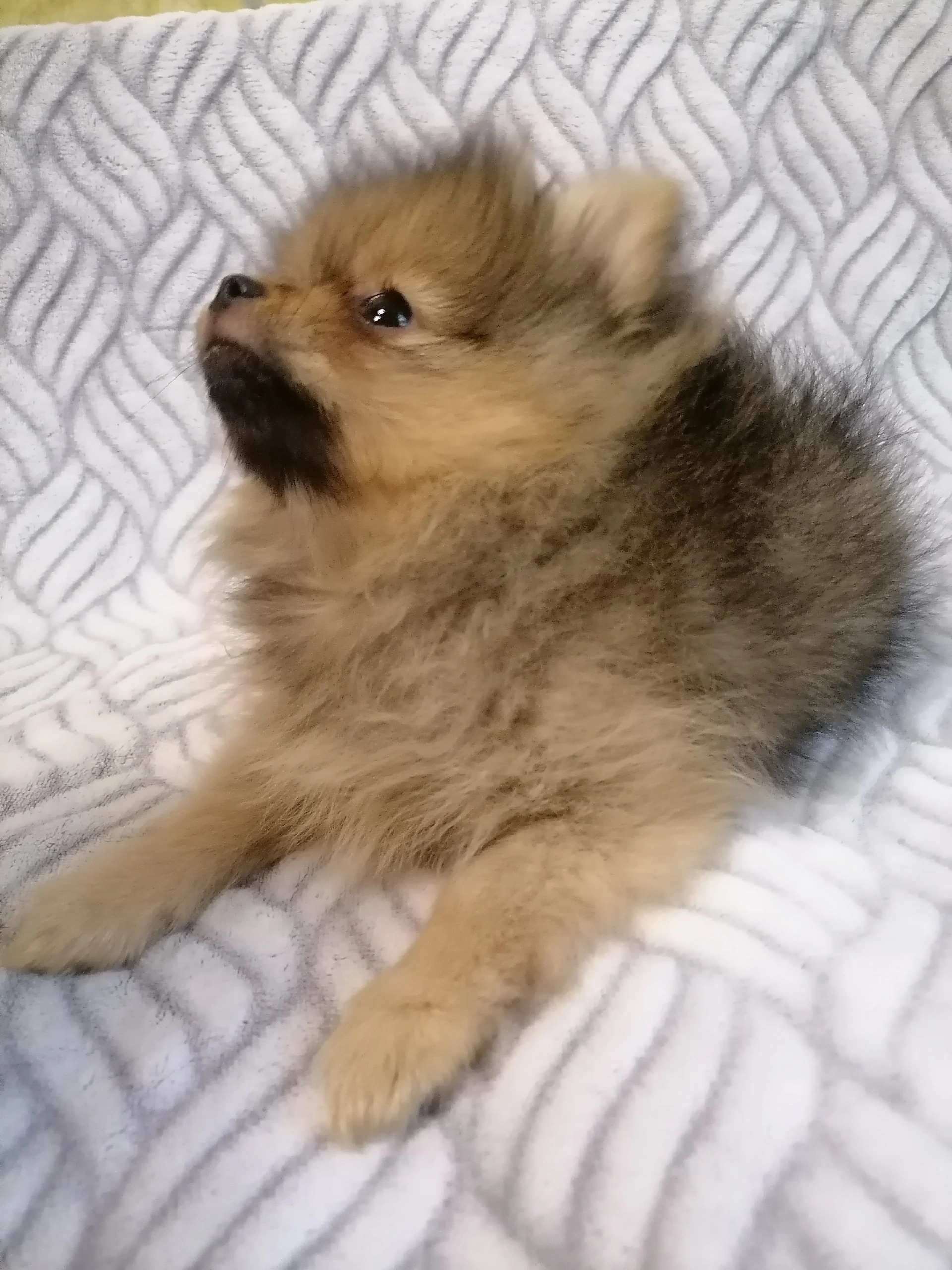 Oe2T3YvPpC2PFJ8SpL7TVxO_wb2eGJZ6reieOsA7iOlTEWfxetelR0iWN1RShiGzwZiDwaeJt52qcBbQTla7nAXZ