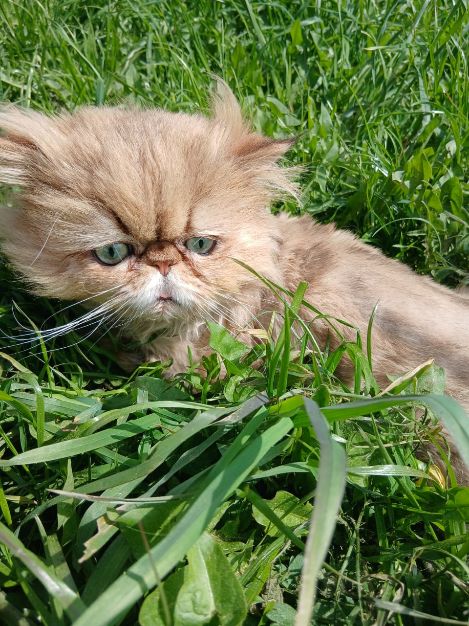 WhatsApp-Image-2025-05-16-at-14.04.00-3