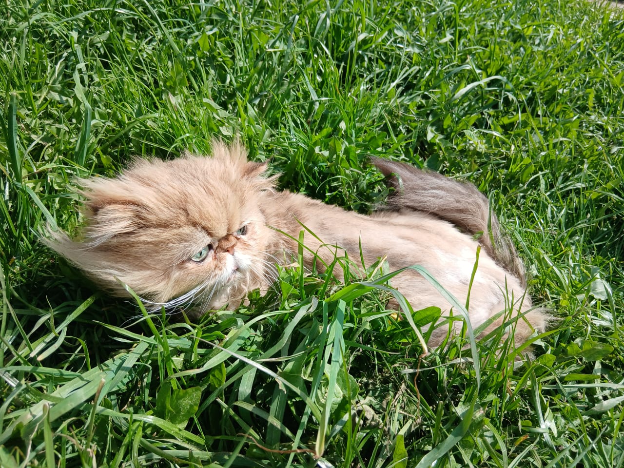 WhatsApp-Image-2025-05-16-at-14.04.01-1