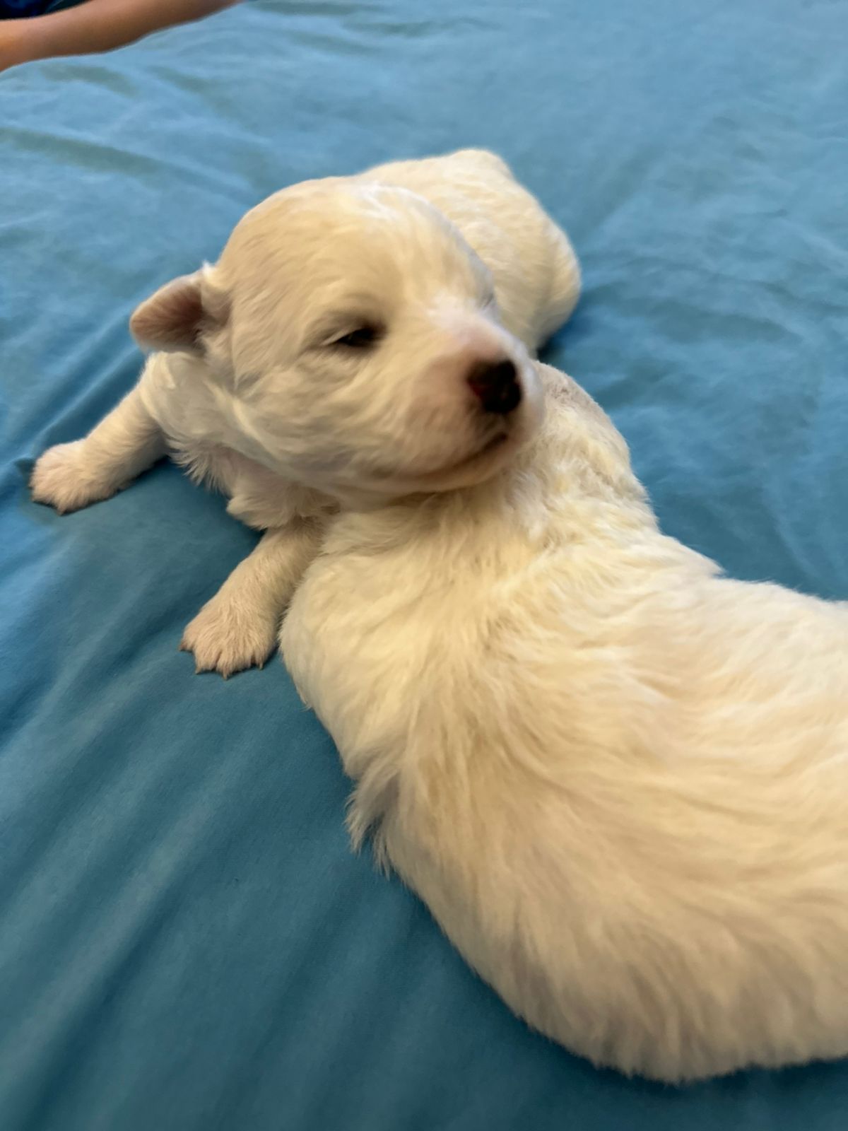 a798025e-9d37-43c5-b681-f64a2e383e8f