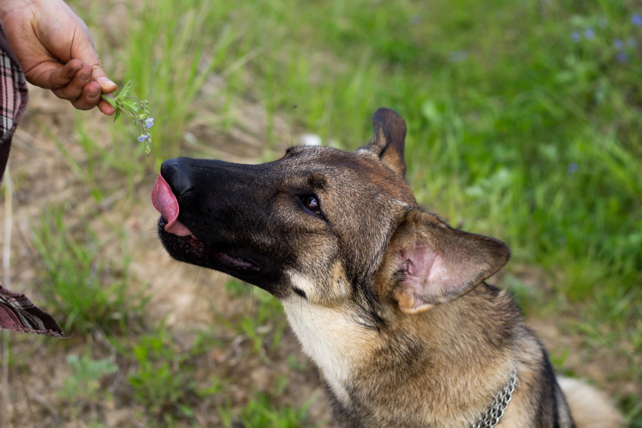 photo_2025-05-24_12-56-31-2