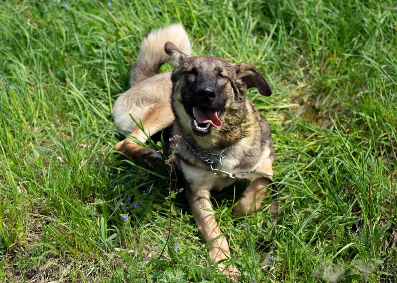 photo_2025-05-24_12-56-32-3