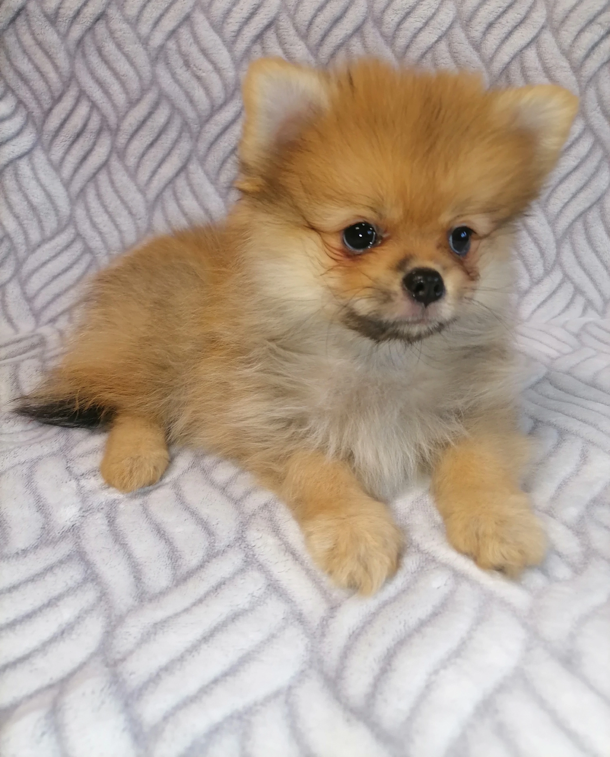 vsE3S6k4xzHrUPydG2p7AZqw9DHKH9saM-vvg-5Fqdv8GGB0ZzLBI1Bin56NqD5q2FdOLgG51CQUbIK2OLhiVe6l