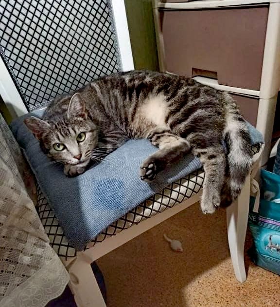 -WhatsApp-2025-05-20-в-14.08.05_08573e57