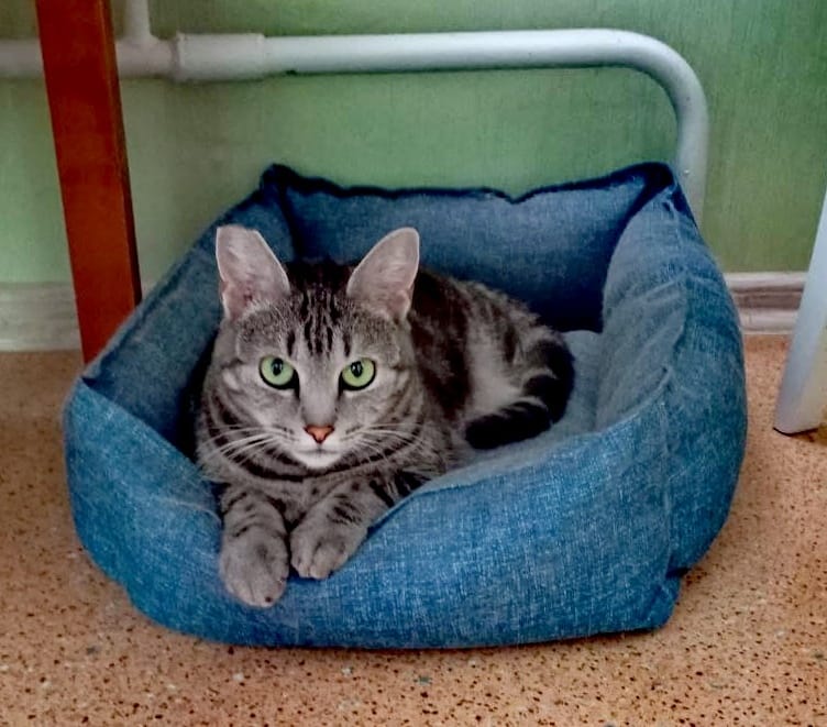 -WhatsApp-2025-05-20-в-14.08.05_52339616