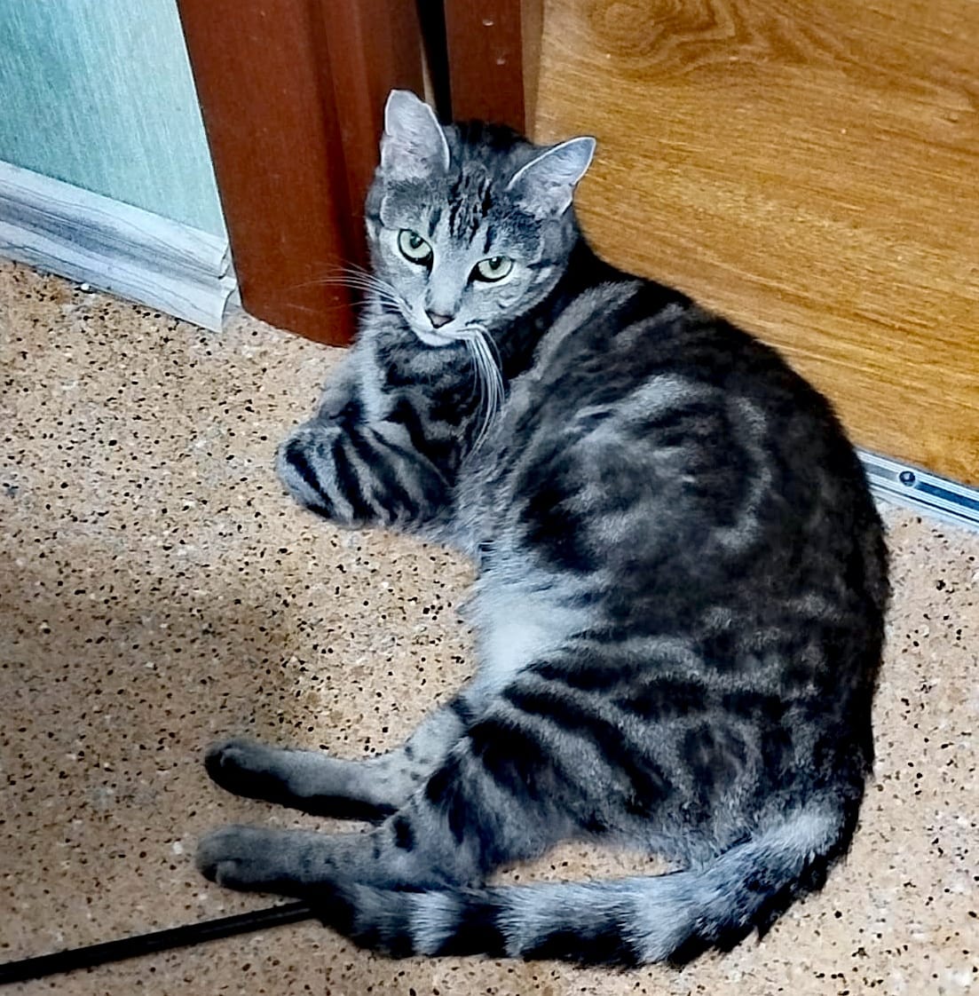 -WhatsApp-2025-05-20-в-14.08.05_b1625b60