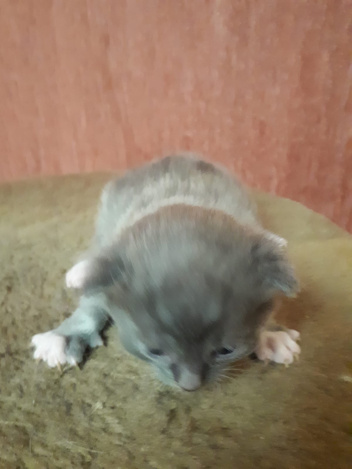 -последние-4