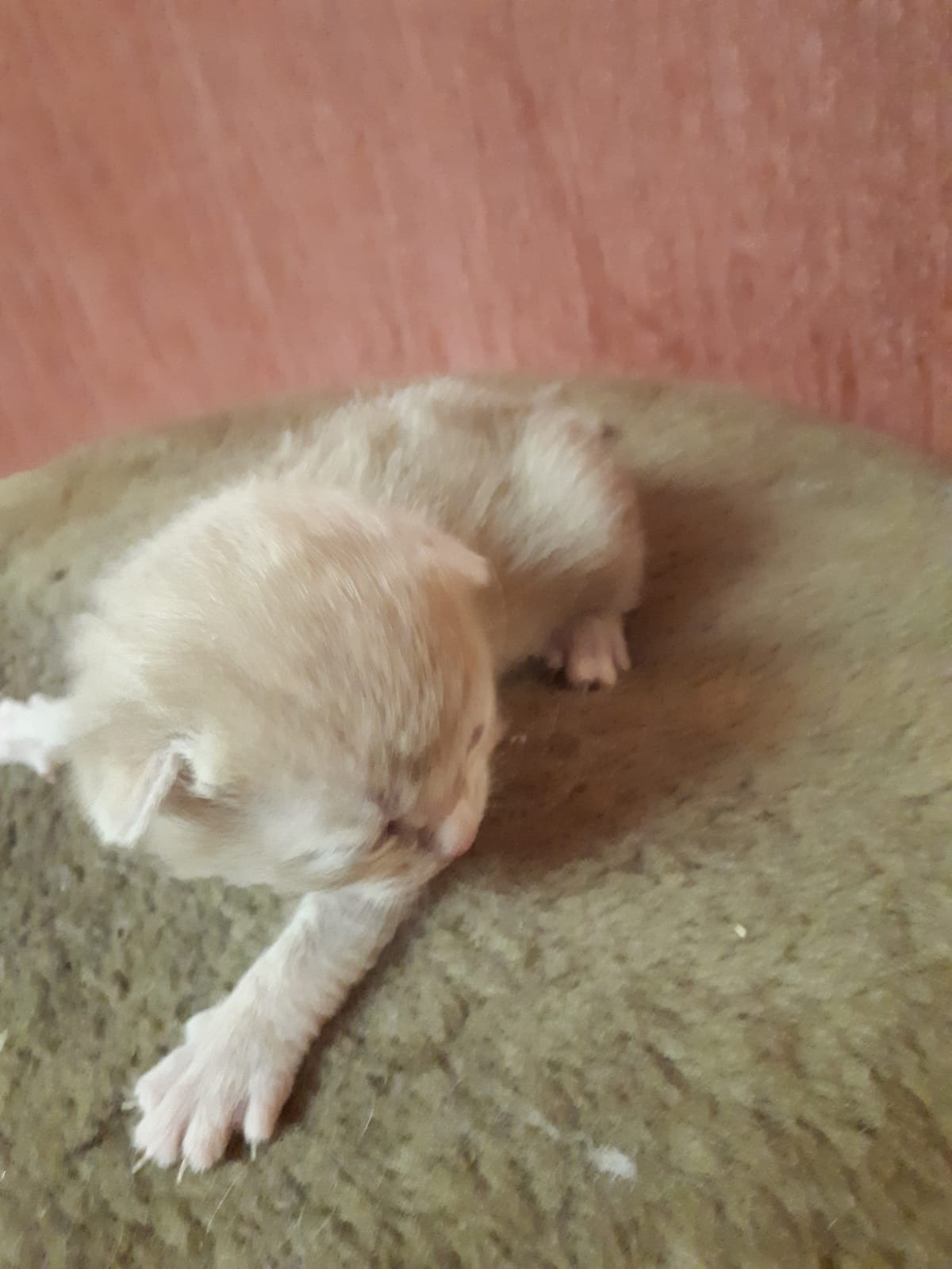 -последние-5