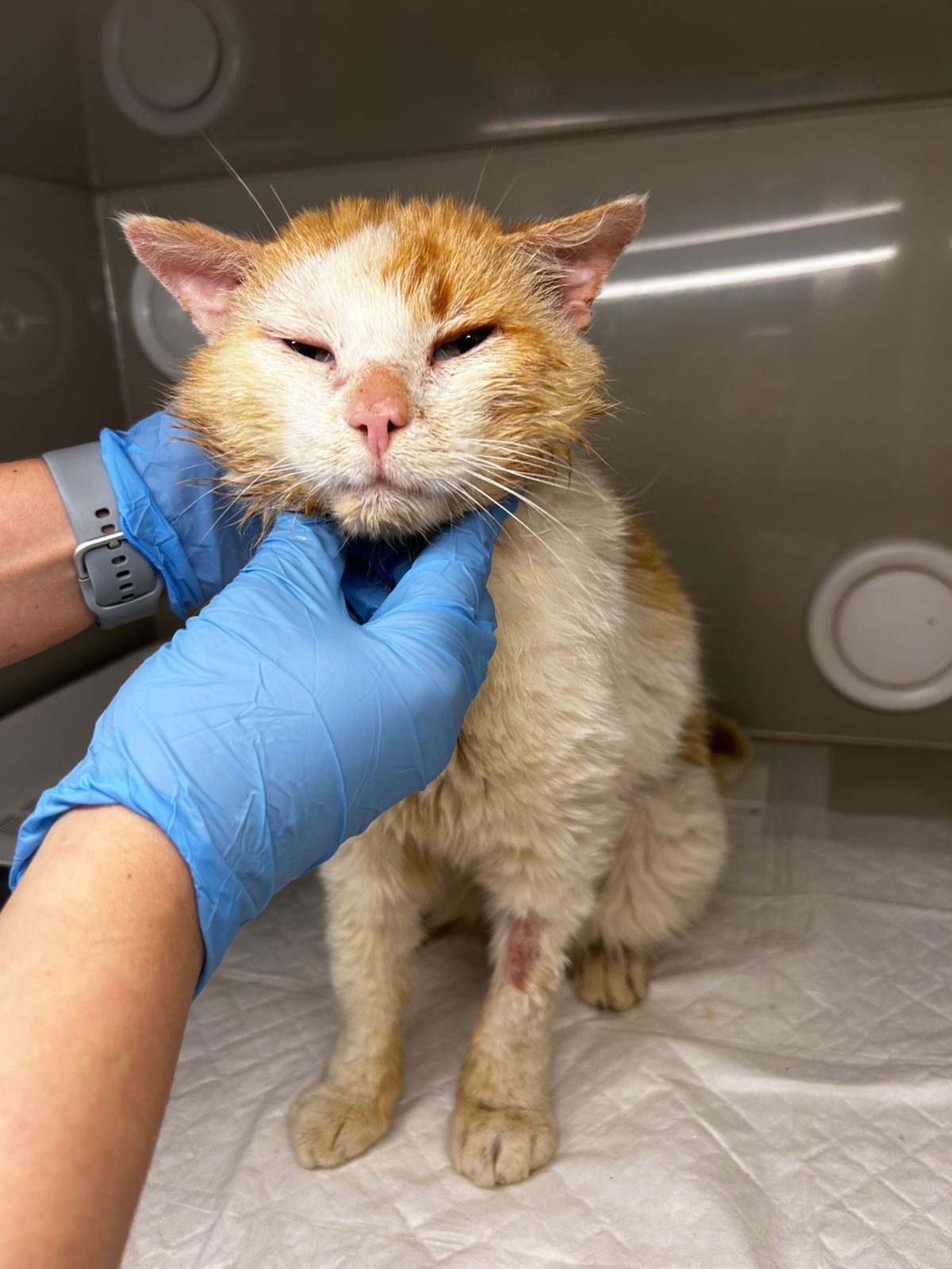 PHOTO-2025-06-15-22-32-45