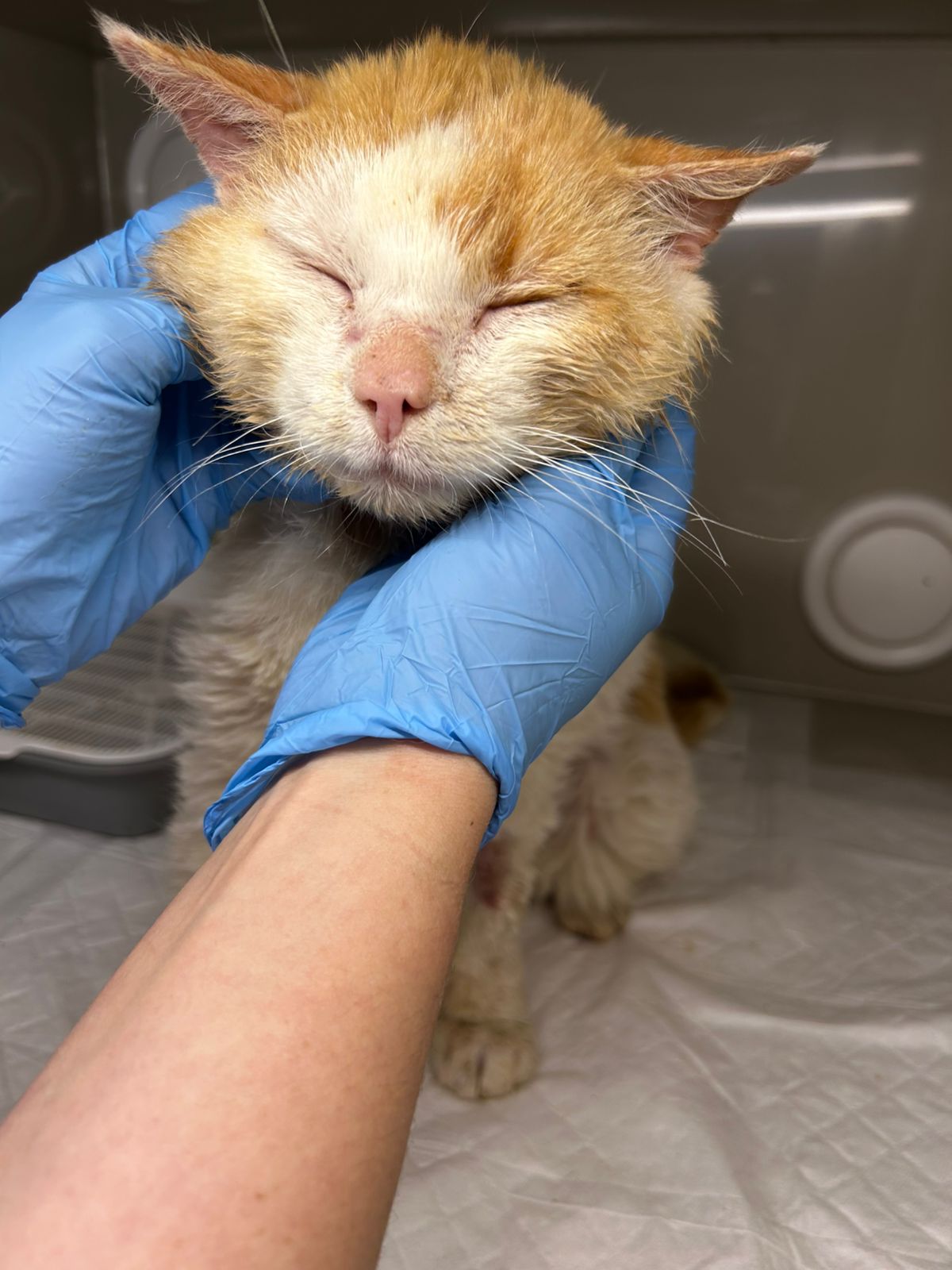 PHOTO-2025-06-15-22-32-46-1