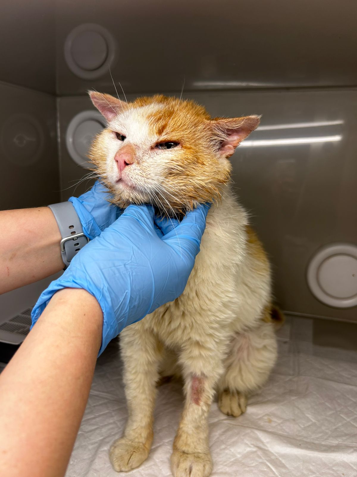 PHOTO-2025-06-15-22-32-46-2