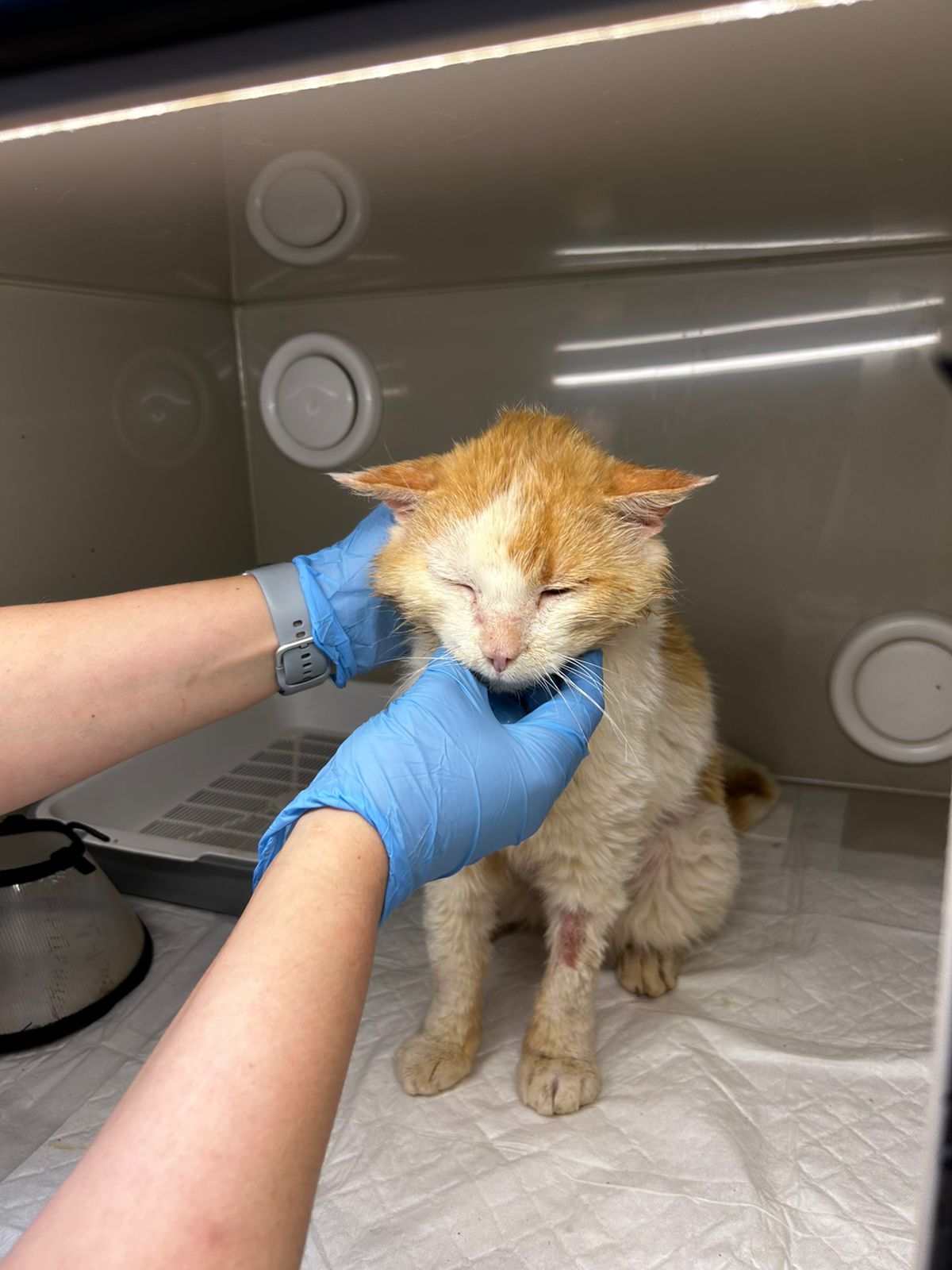 PHOTO-2025-06-15-22-32-46