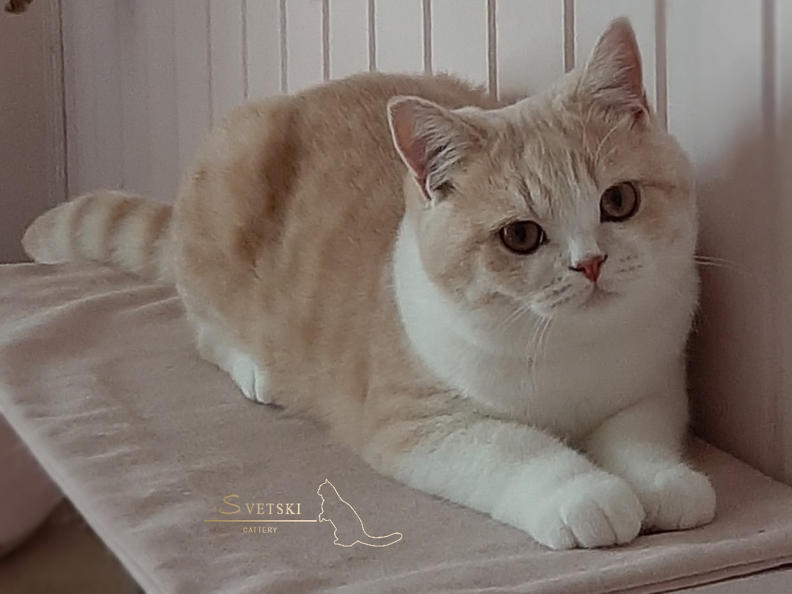 Polish_20250621_004540866