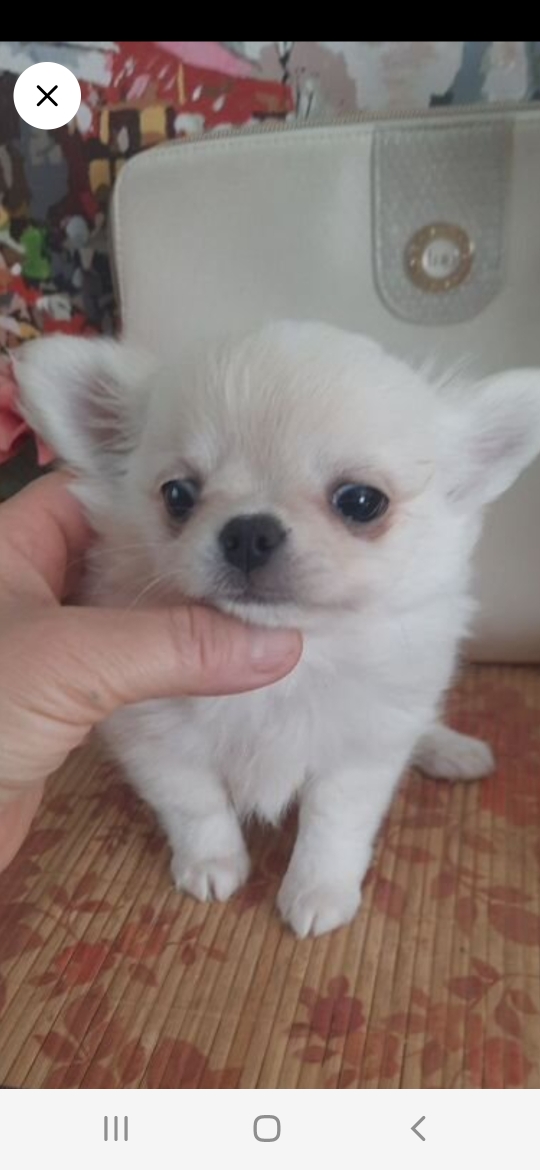 Screenshot_20250528-161047