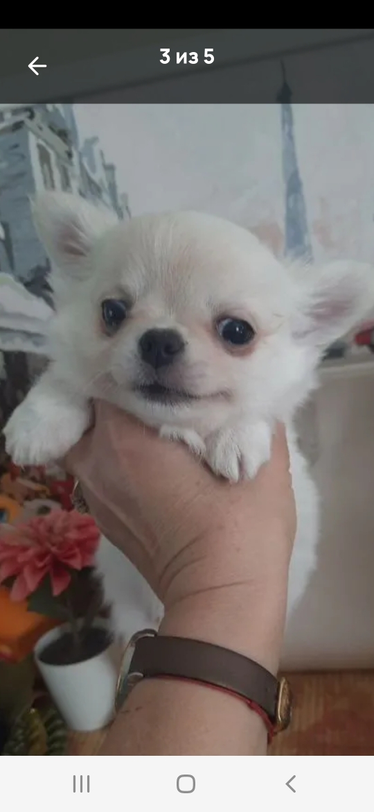 Screenshot_20250611-205253