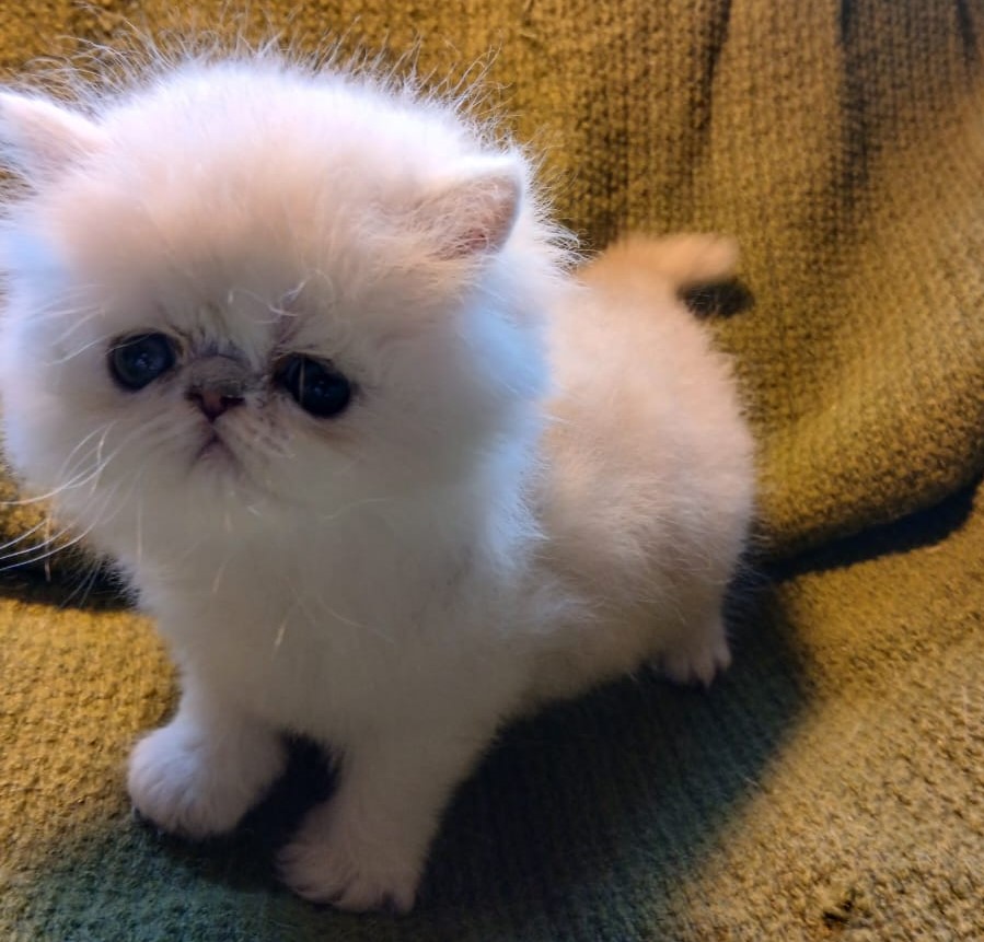 WhatsApp-Image-2025-06-11-at-11.55.12