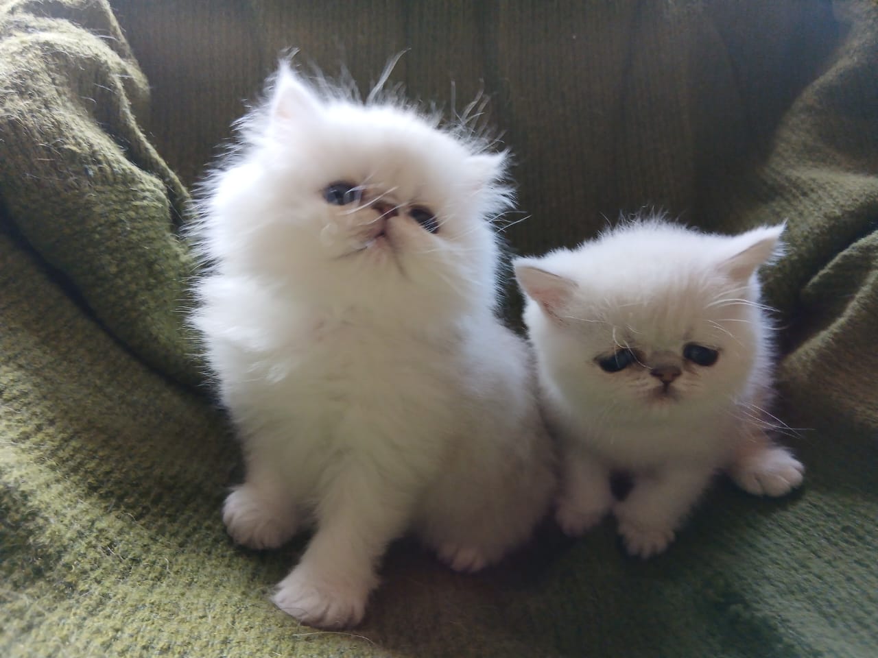 WhatsApp-Image-2025-06-11-at-12.42.07-1