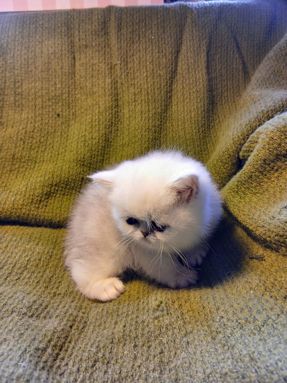 WhatsApp-Image-2025-06-11-at-12.42.52-1