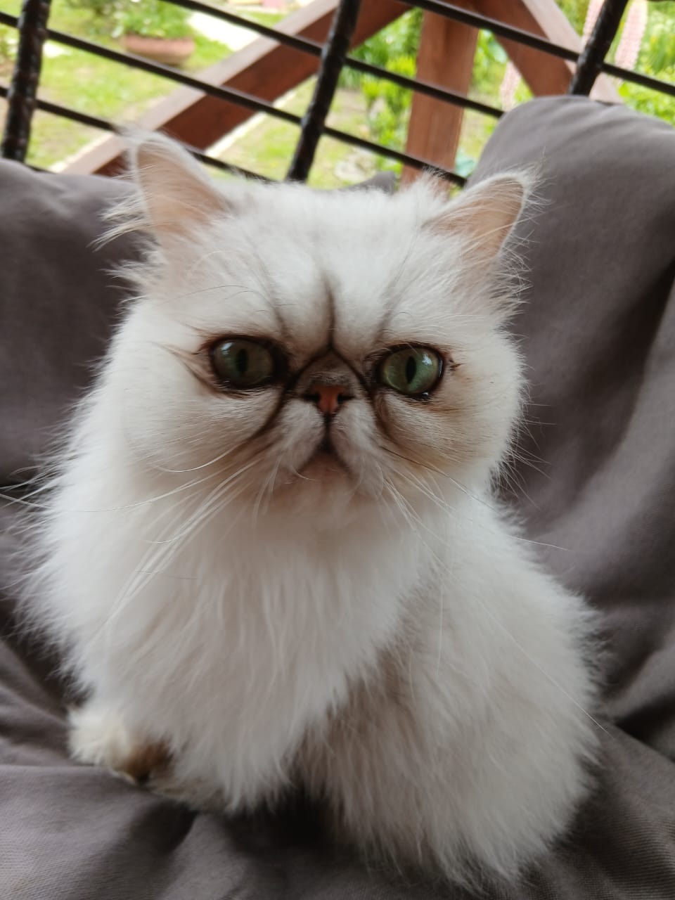 WhatsApp-Image-2025-06-17-at-15.28.43