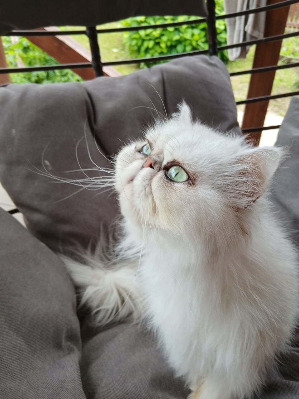 WhatsApp-Image-2025-06-17-at-15.28.49