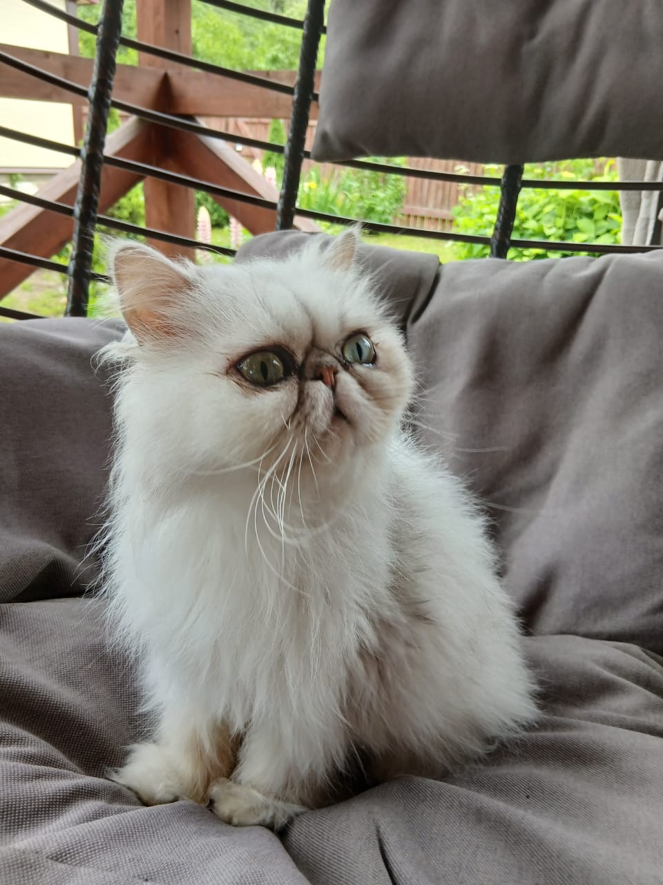 WhatsApp-Image-2025-06-17-at-15.28.57