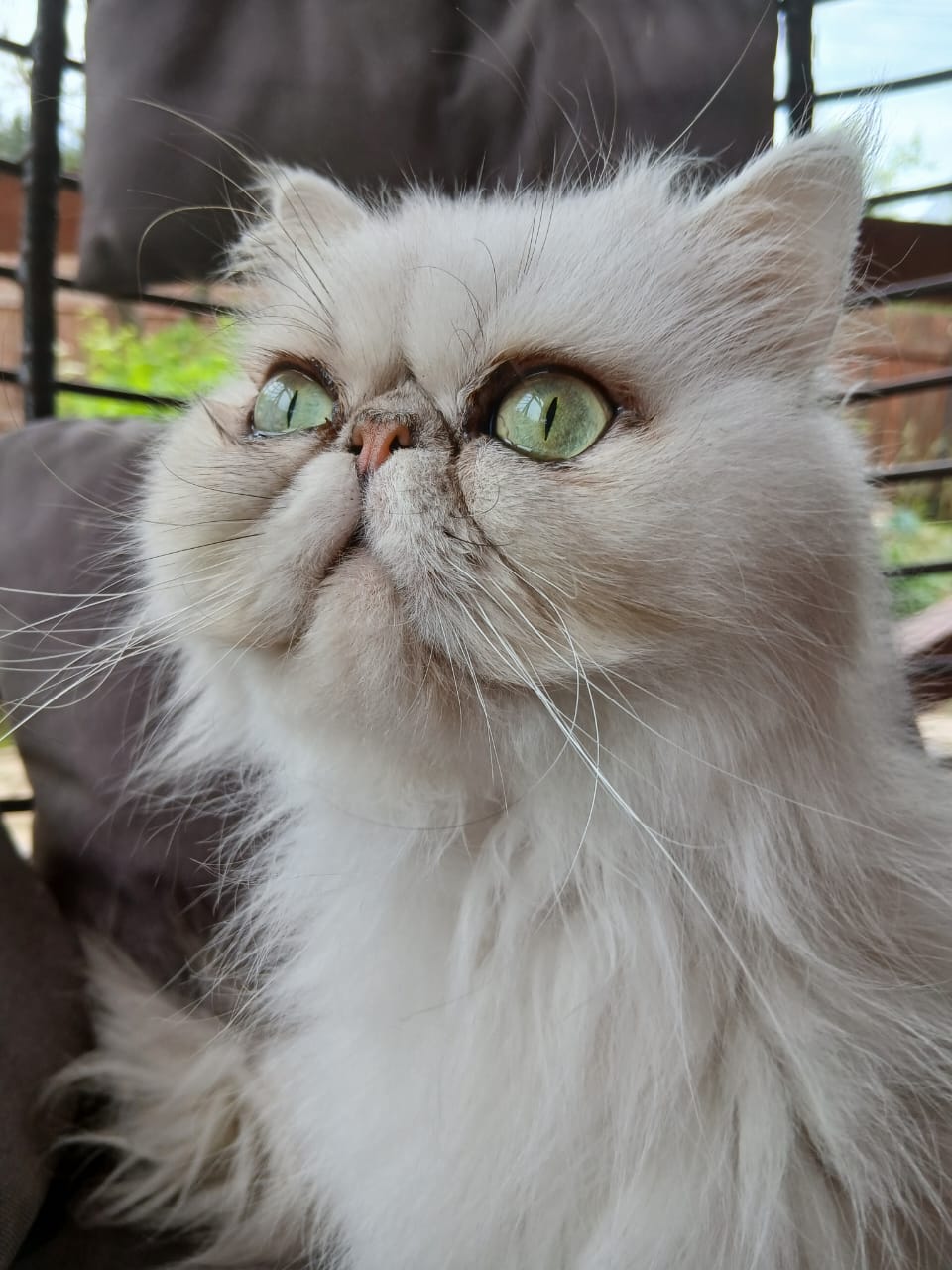 WhatsApp-Image-2025-06-17-at-15.28.59