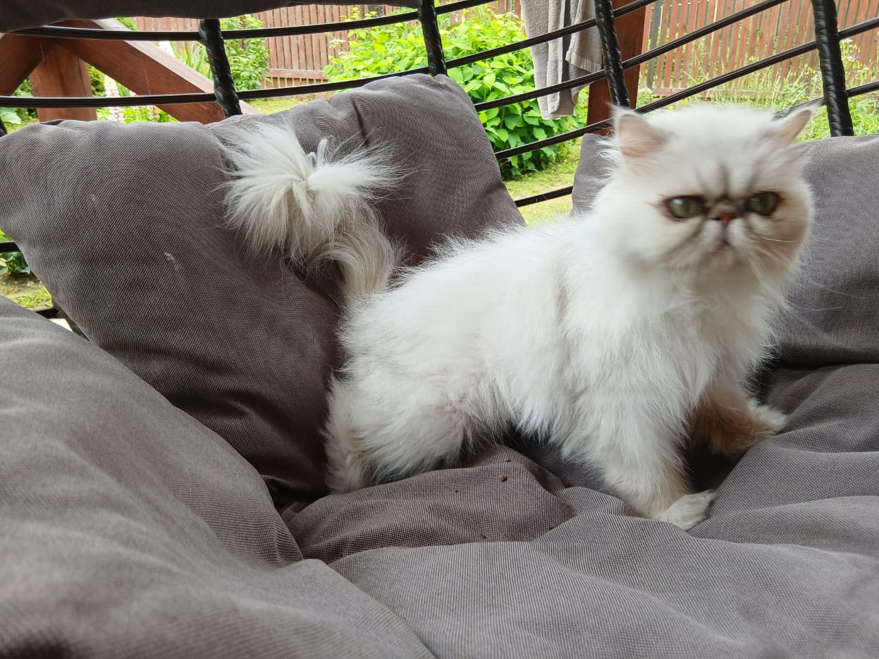 WhatsApp-Image-2025-06-17-at-15.30.02-2