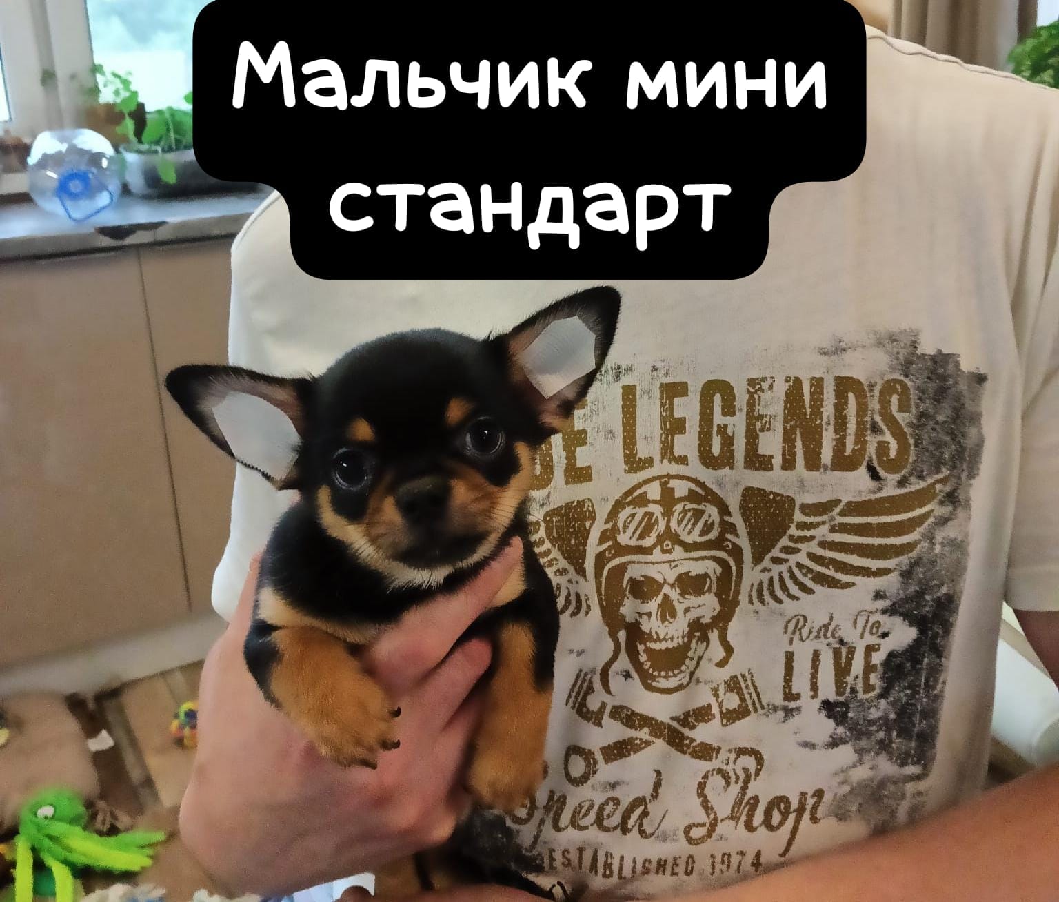 WhatsApp-Image-2025-06-18-at-21.02.46