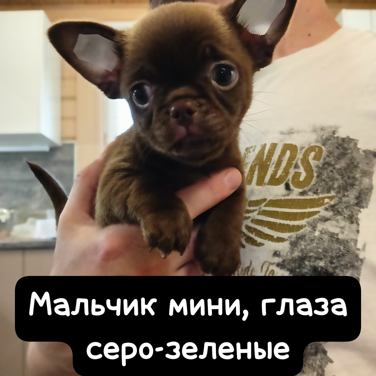 WhatsApp-Image-2025-06-18-at-21.04.56