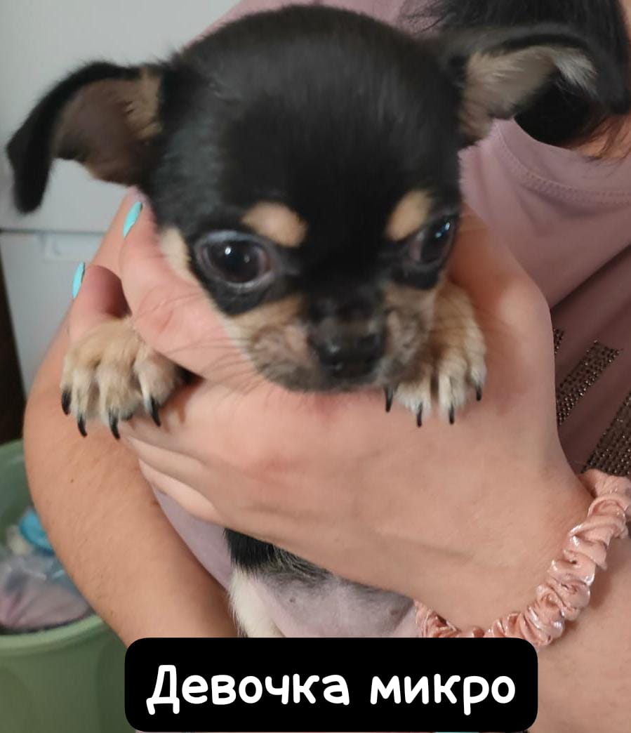 WhatsApp-Image-2025-06-18-at-21.33.57