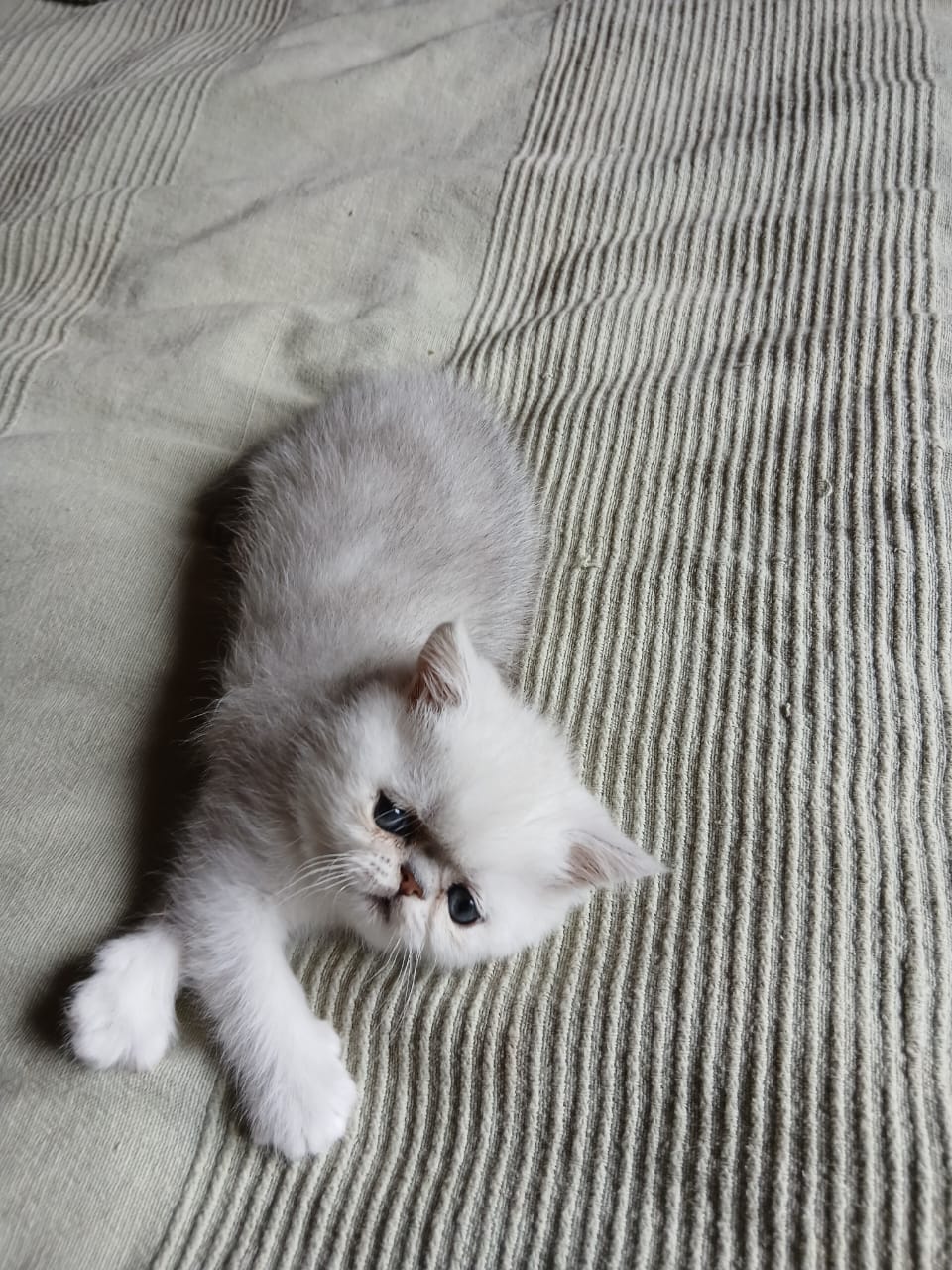 WhatsApp-Image-2025-06-19-at-11.56.40-1-—-копия