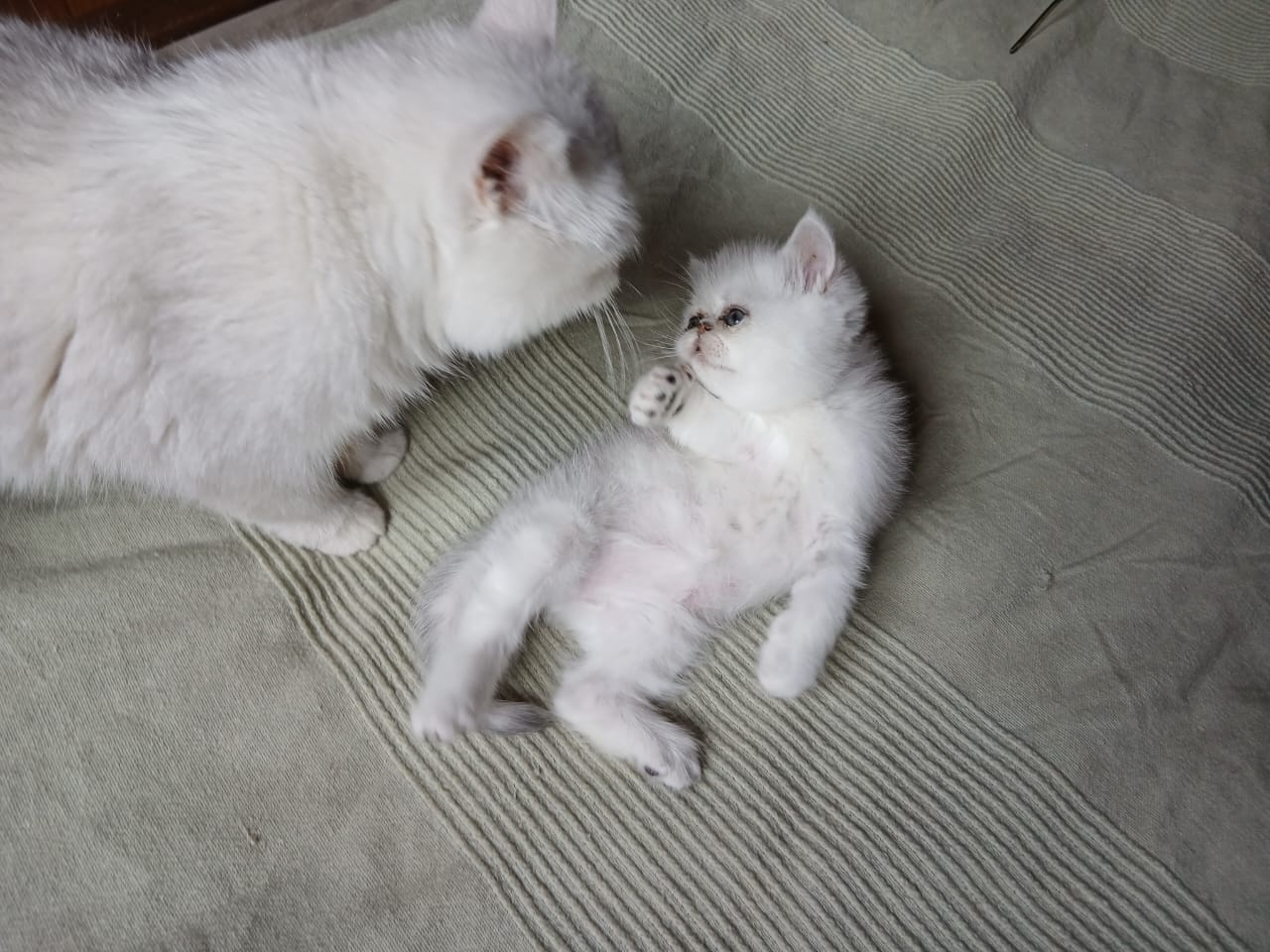 WhatsApp-Image-2025-06-19-at-11.56.44