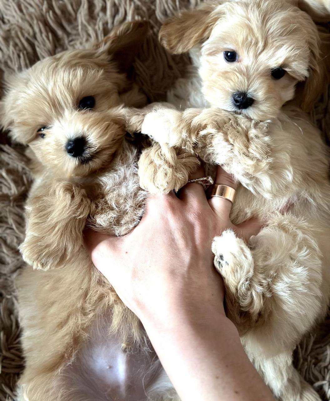 photo_2024-10-01_11-14-42