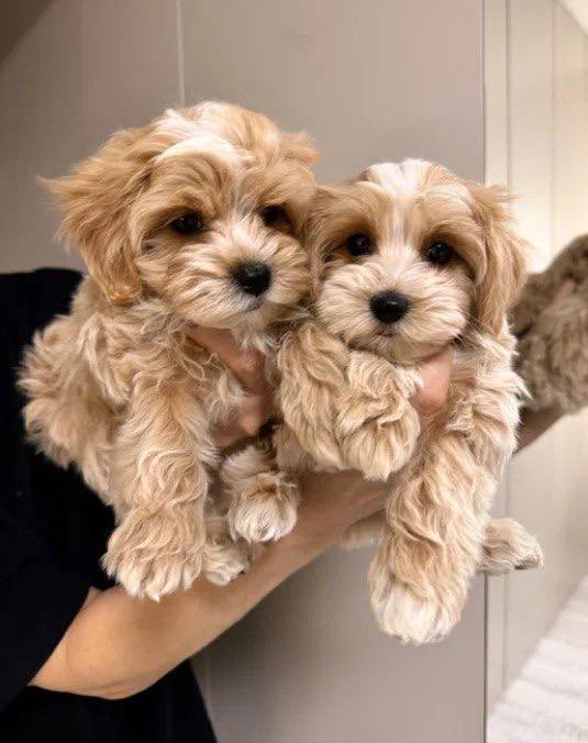 photo_2024-10-05_10-22-55