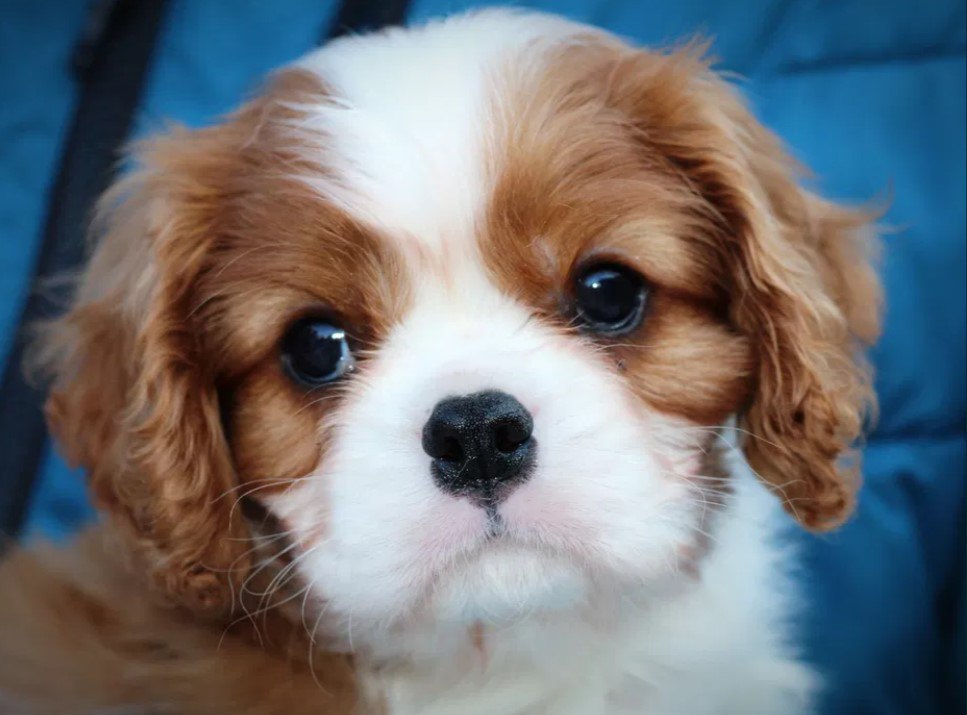 photo_2025-03-20_11-25-19