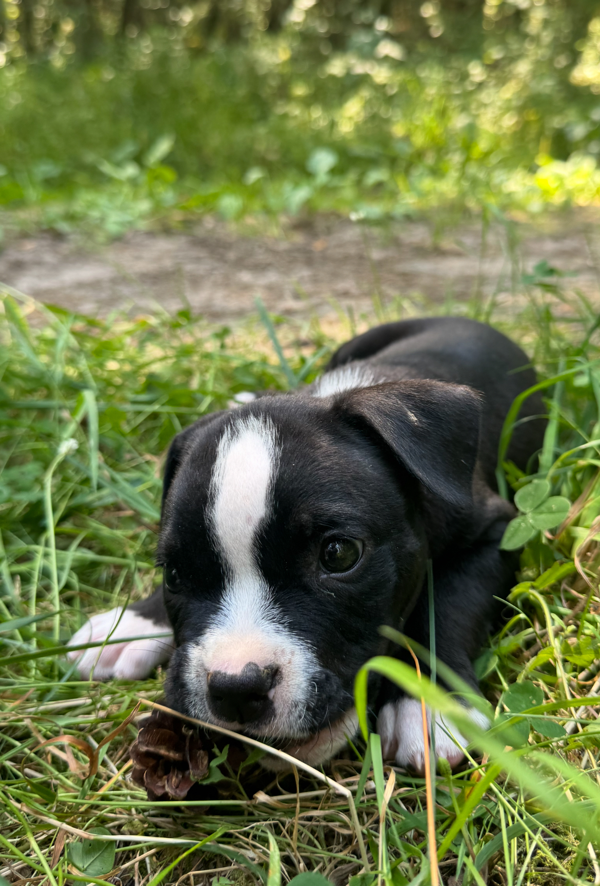 4a166f52-08a7-4b59-b883-993b2e4b8ca5