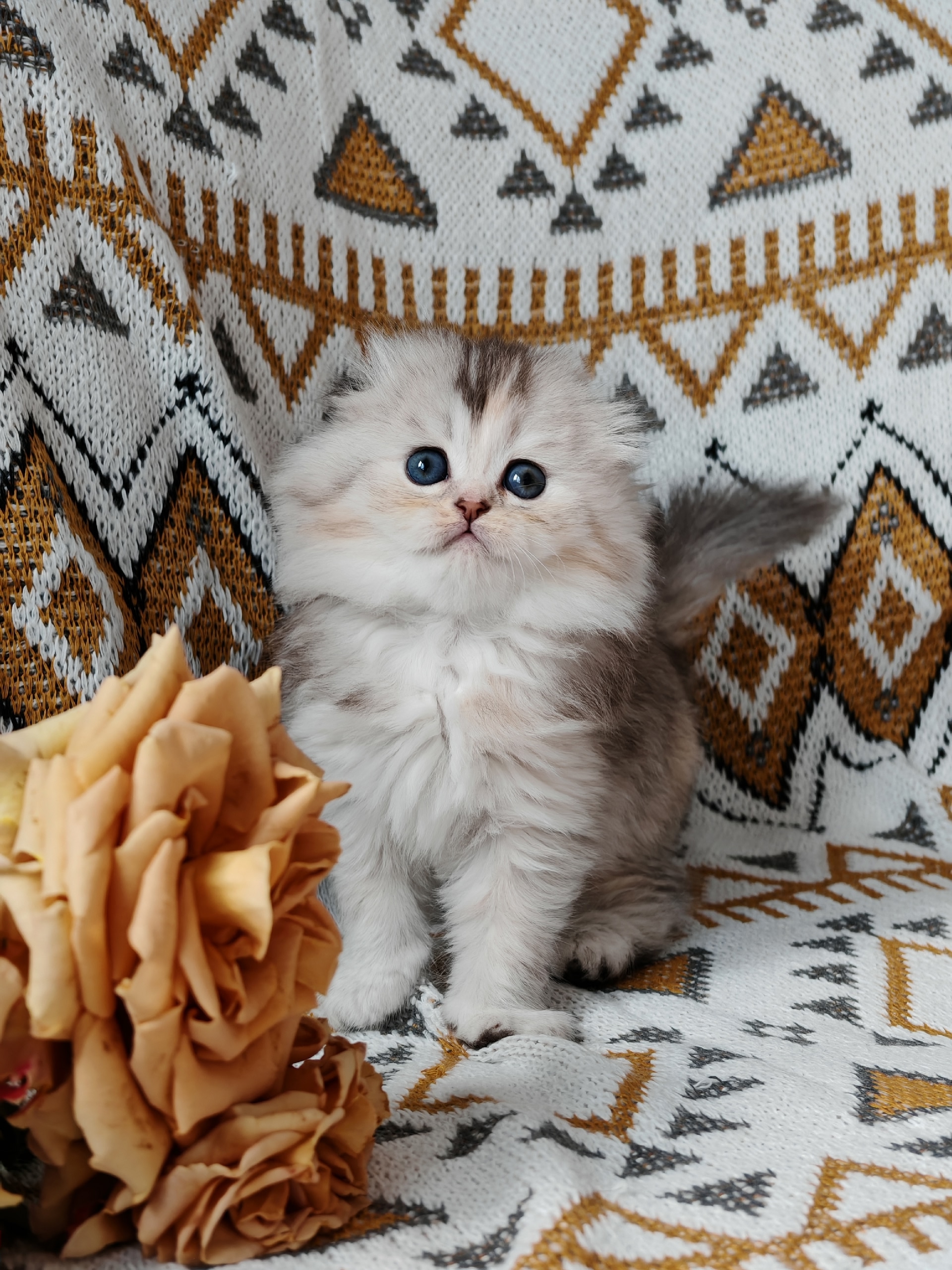 5V_GMyGJoo7pfKDi-CE-u1z9NUI9BKxmzV-viteTjP7uIN6DaIU6zHan0SHNmMz8AseAiXbKUwl93Osm-lejmQgH