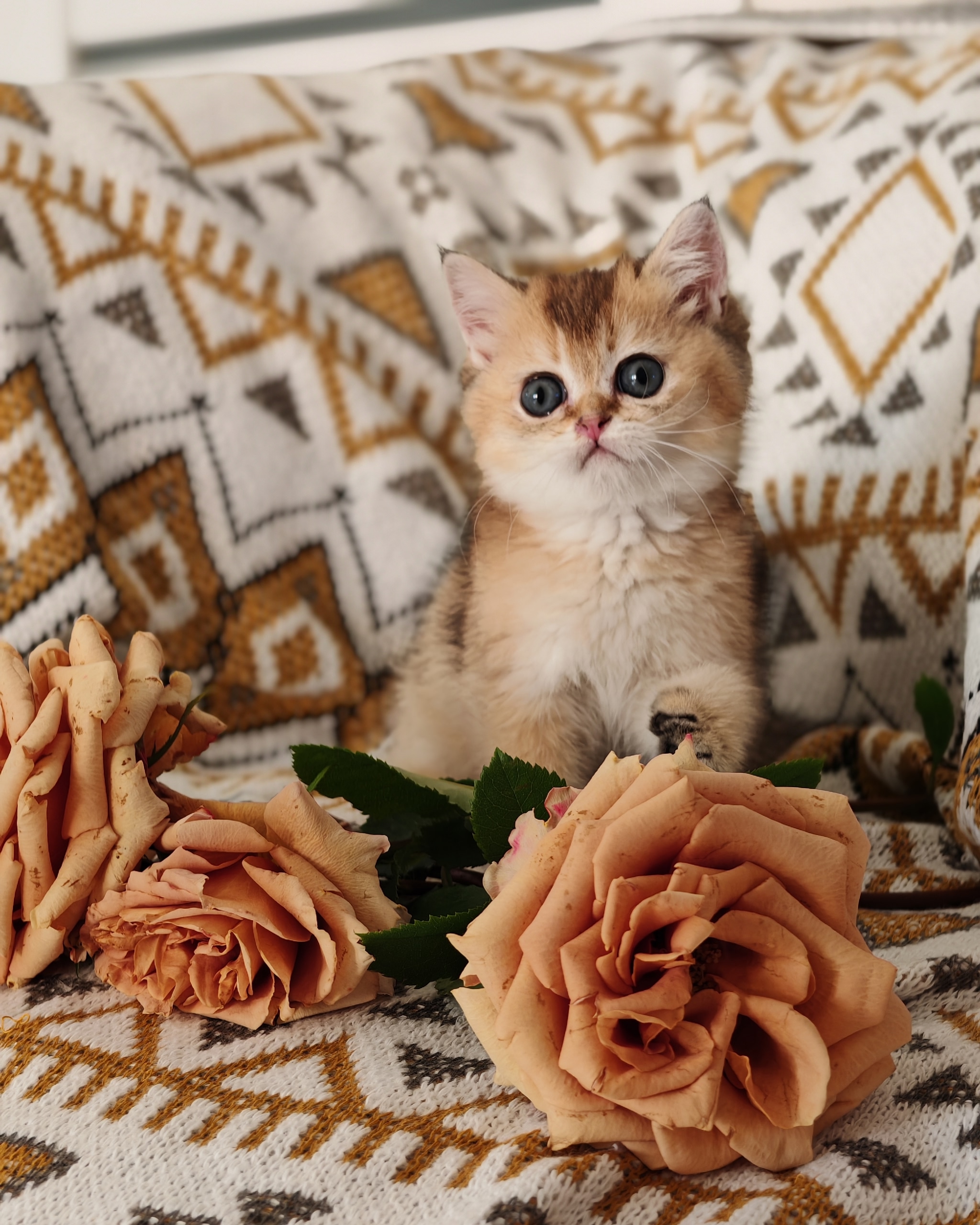 8kKKzM3j80D3aIvsUObbWmj4mSRimhPYGyzFTXFOgfQOh_d-QbfS1sinxSSBxE9Rk6hyPHMPZAVKa1zXKR6ZF7Jy-1