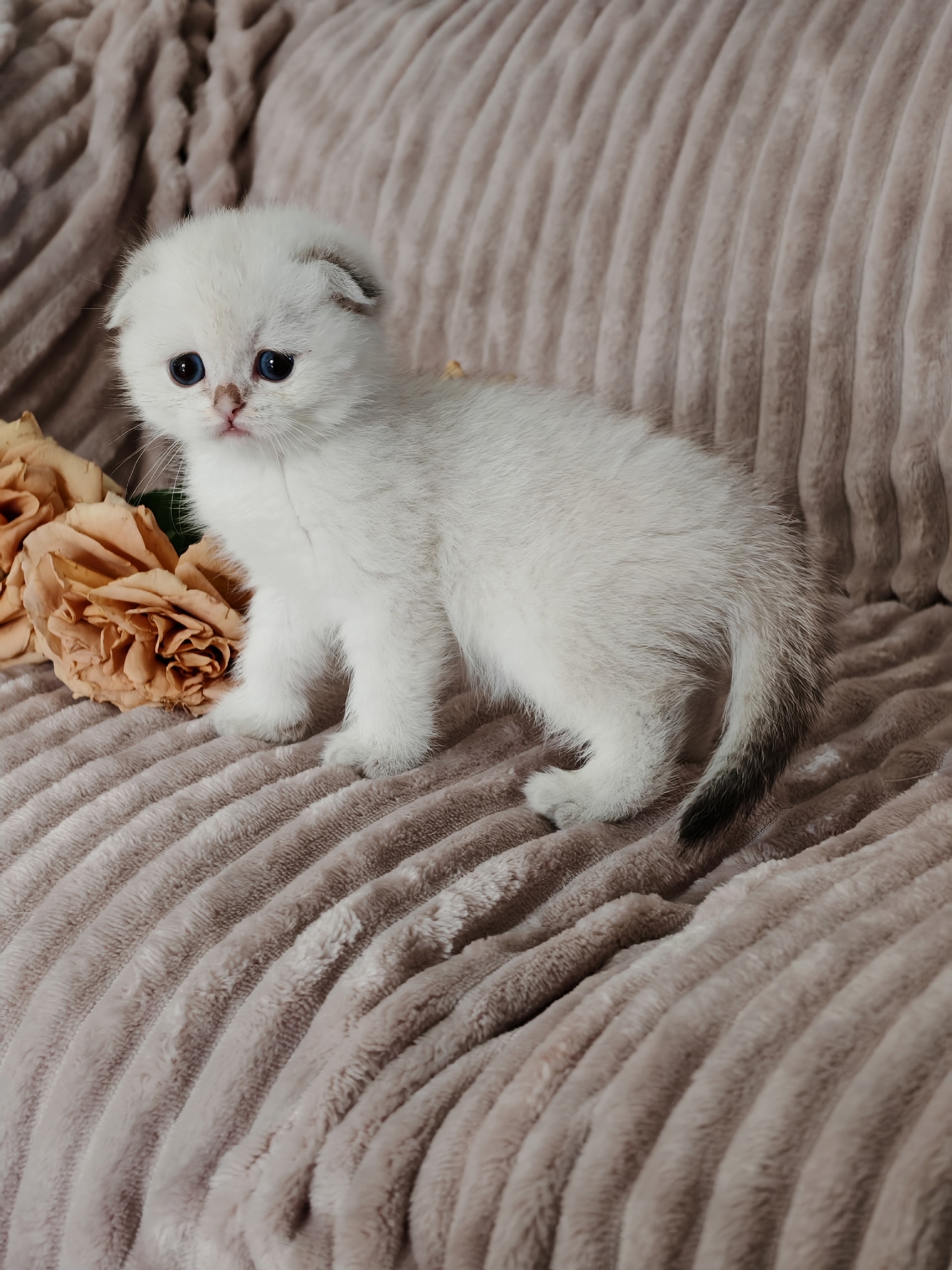 DHWXCQMxBqURnYe5gTxZqhqlMFw6FvHU4iQVLdg0jP-qb2WUWntQby2a0QAfkxYXPS5hFCo1P9HEc_clDT3OGNpe