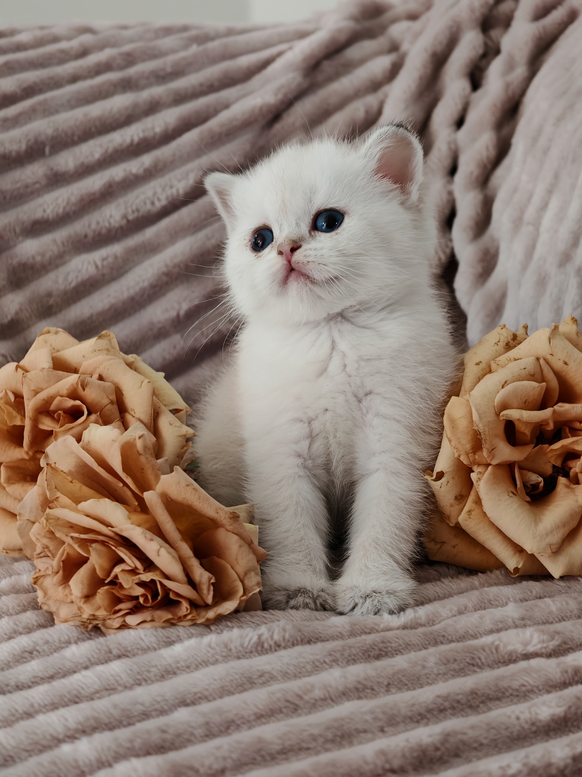 EivX_1tna8L4IbBJ6vgi8U9GqMZevsx6aTu581fBrAhmPIEIl-El4bfXPNhLQZqfuSa5EuO1Rfjk0Xt6up6Fh02m