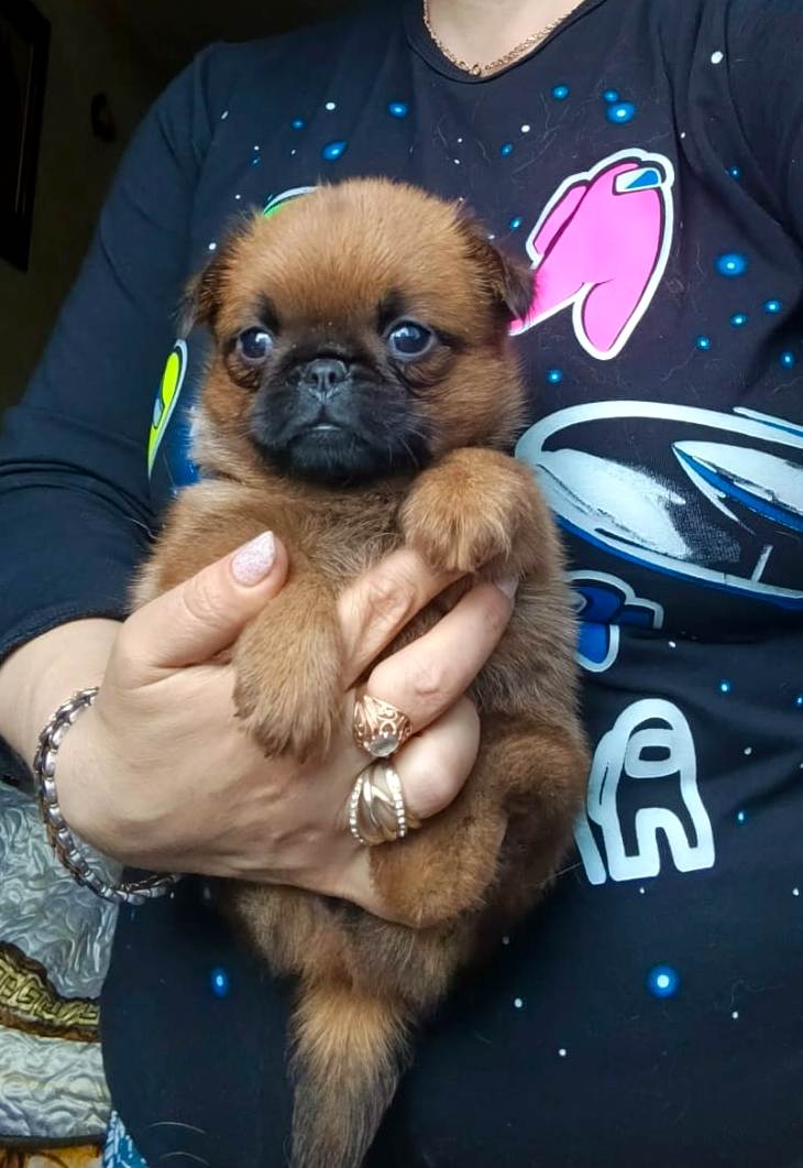 IMG-20250705-WA0005-1