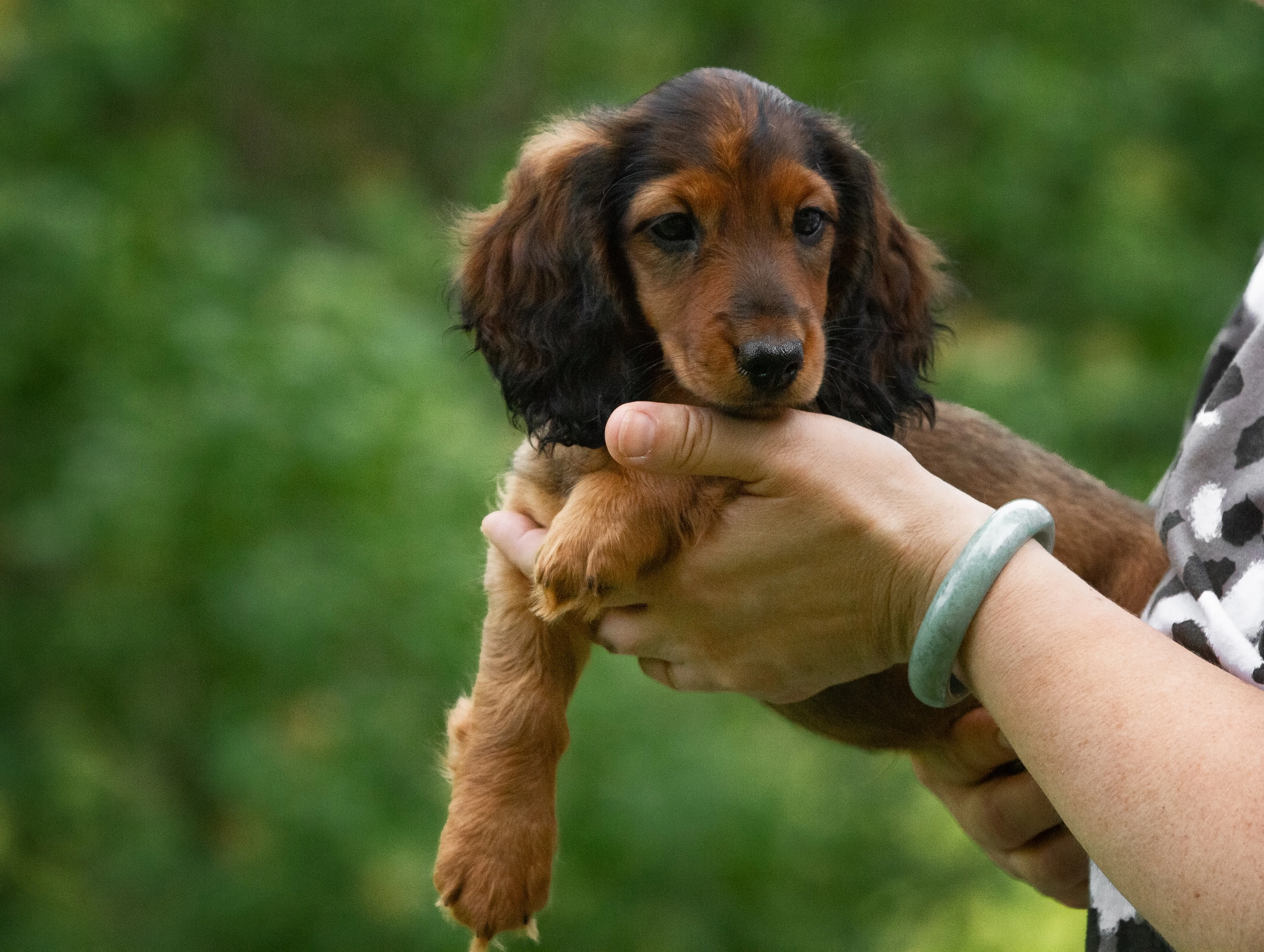 K0qiM3IHw3iJIS8aVUKUqPqeZ-4xD_iosQlBu4sWAPnPgZ4jAdLeM1eByLobSJkDfnmjTwpCzlBYa_F_t9ckHTS_