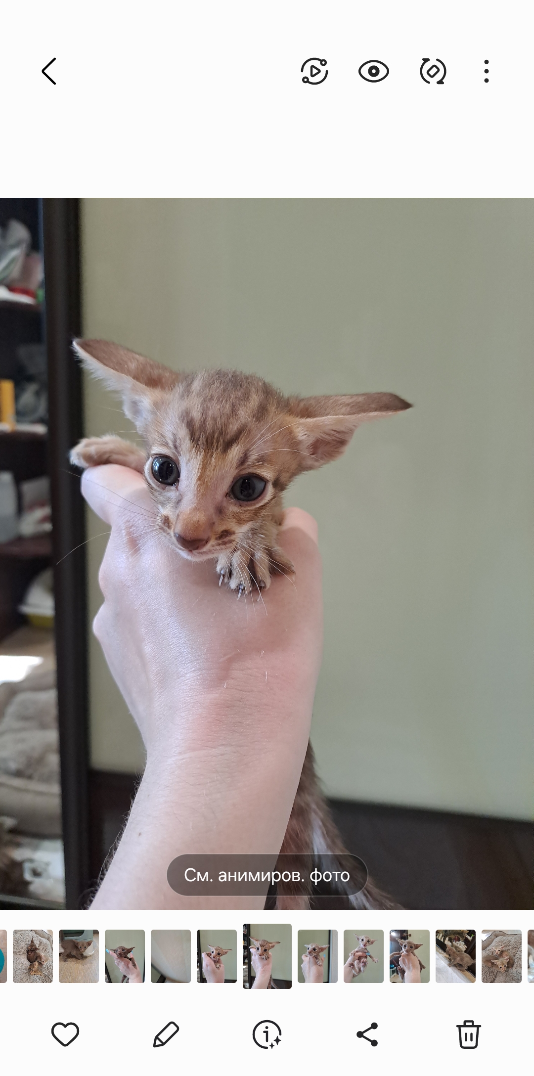 Screenshot_20250723_203726_Gallery