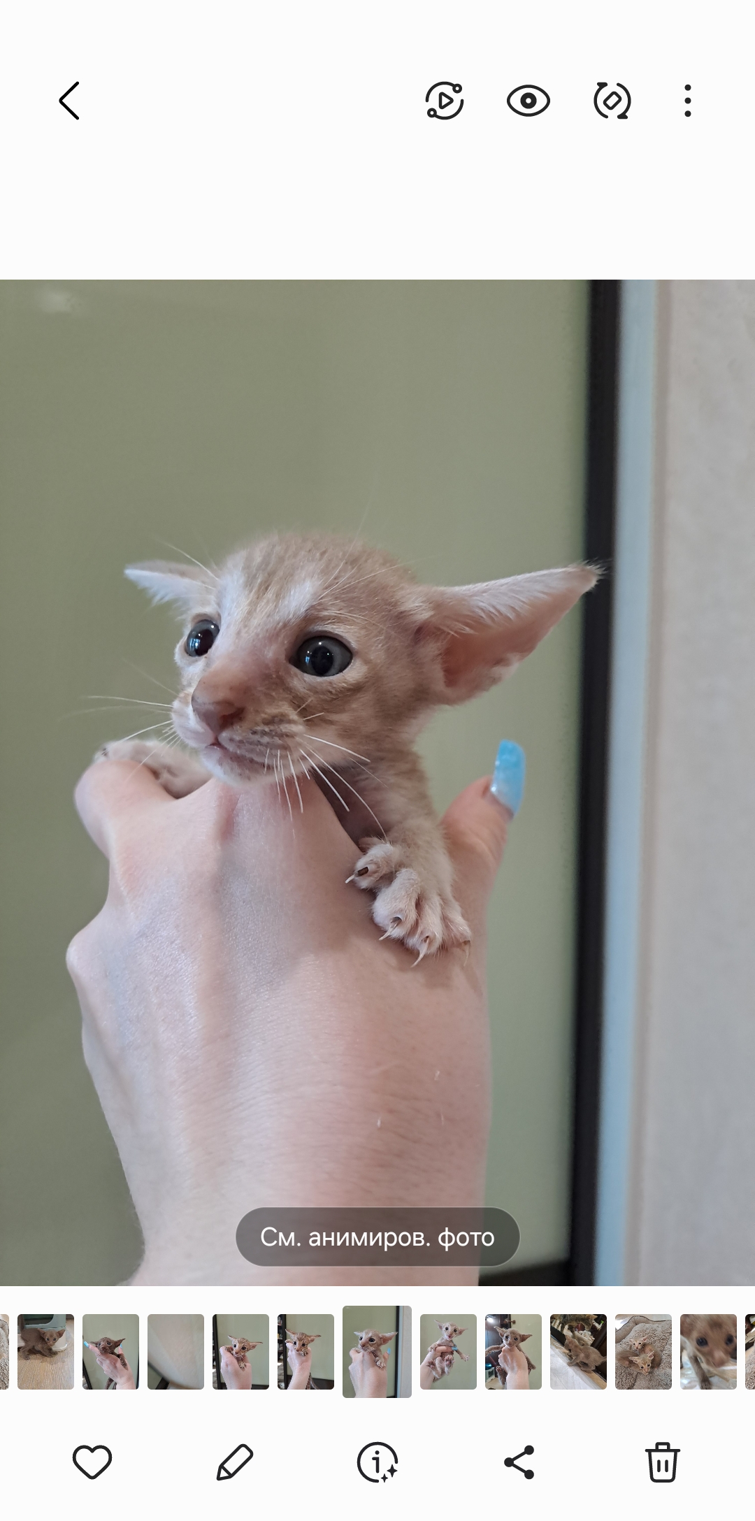 Screenshot_20250723_203734_Gallery