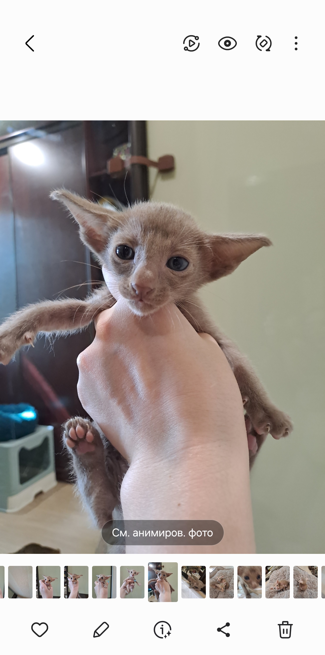 Screenshot_20250723_203739_Gallery