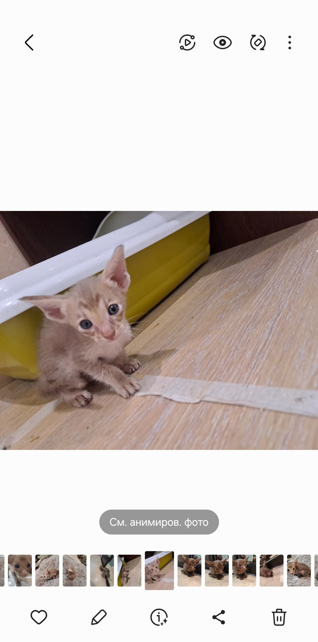 Screenshot_20250723_203746_Gallery