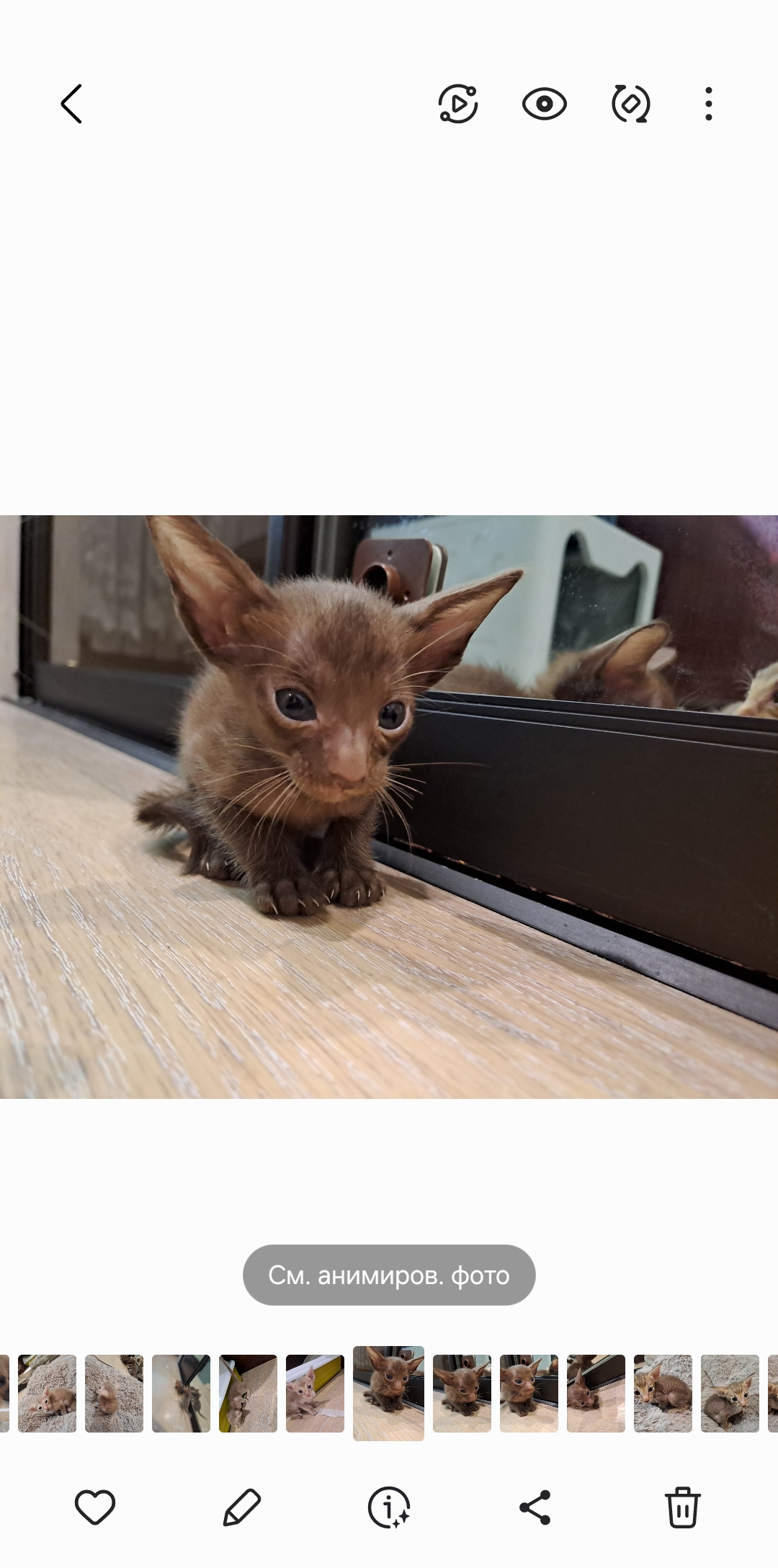 Screenshot_20250723_203750_Gallery