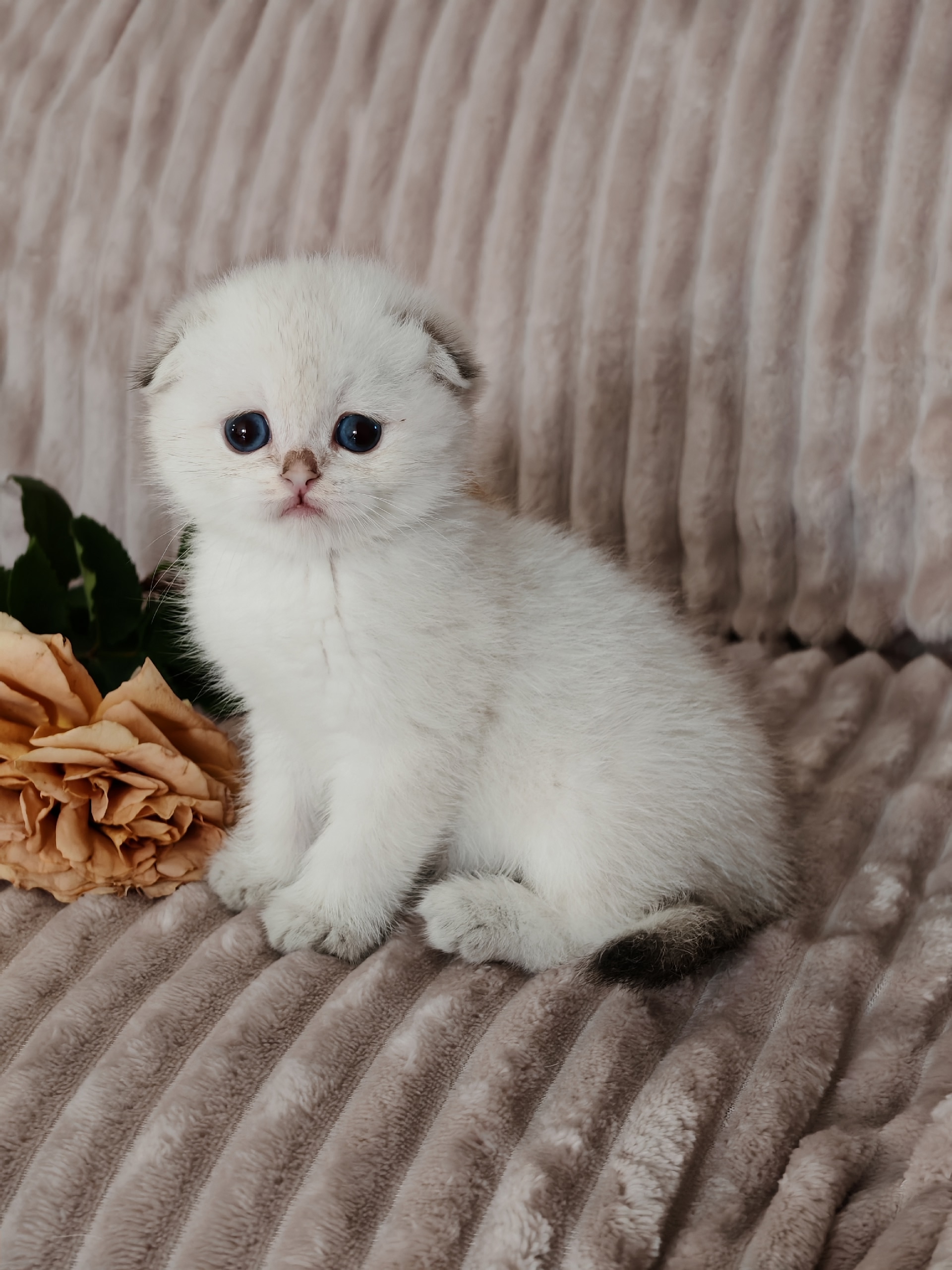 V-r1p7HjCYz3VgUrpM4xfgJroT98HmU276lsQQbFVO26Yld2qgICOAzypFKRnU2kXbYceu4C1aSf-yD9_rdyQ-hz